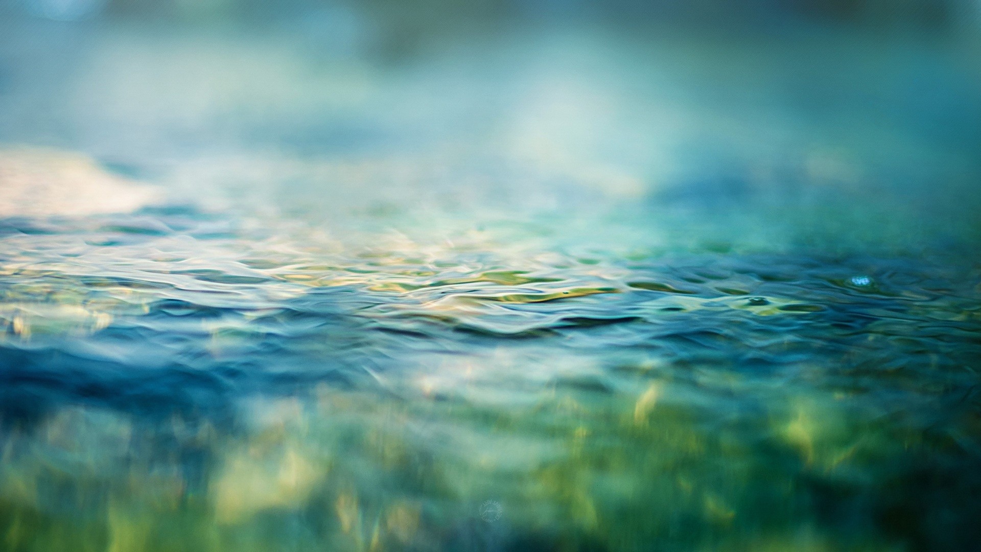 Close-up of rippling water surface HD Wallpaper