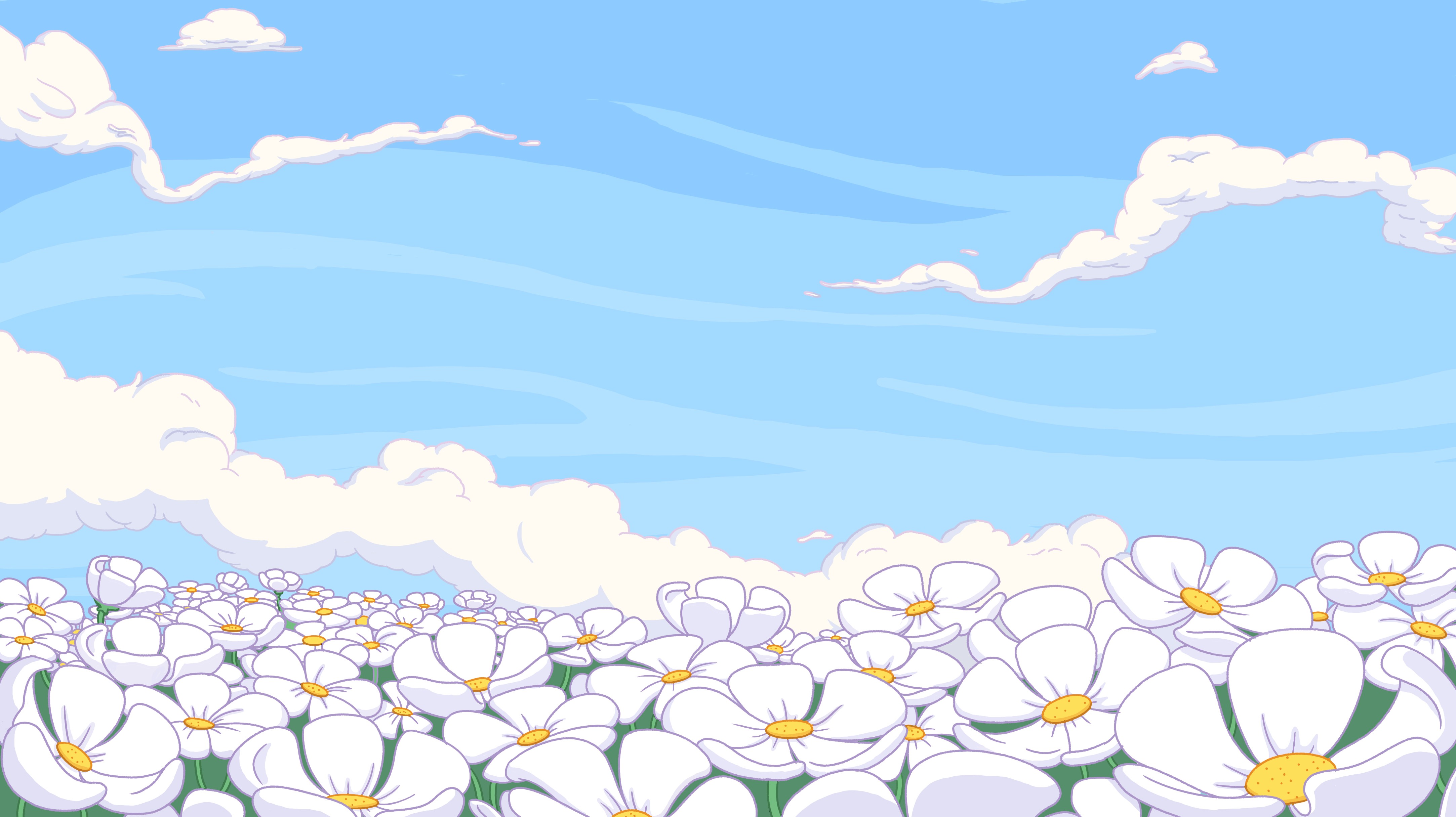 Field of white flowers under a blue sky with clouds HD Wallpaper