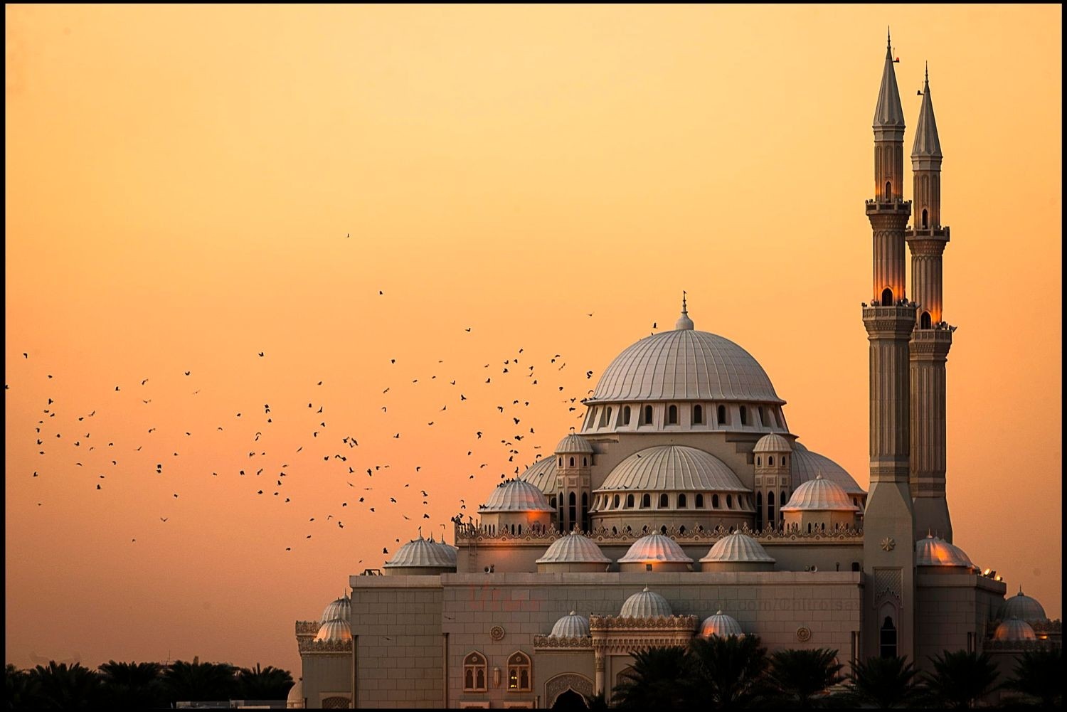 Mosque with minarets and domes at sunset with birds HD Wallpaper