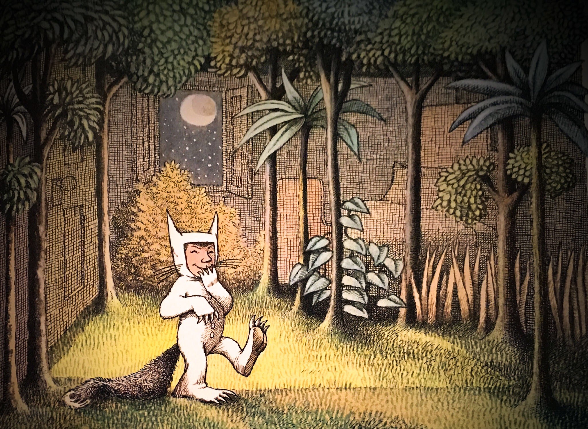 Max from Where the Wild Things Are in a forest HD Wallpaper