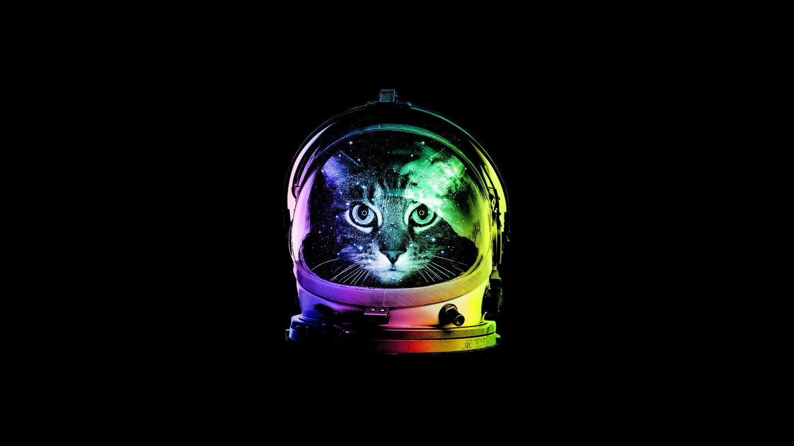 Cat astronaut in colorful helmet with galaxy background HD Wallpaper