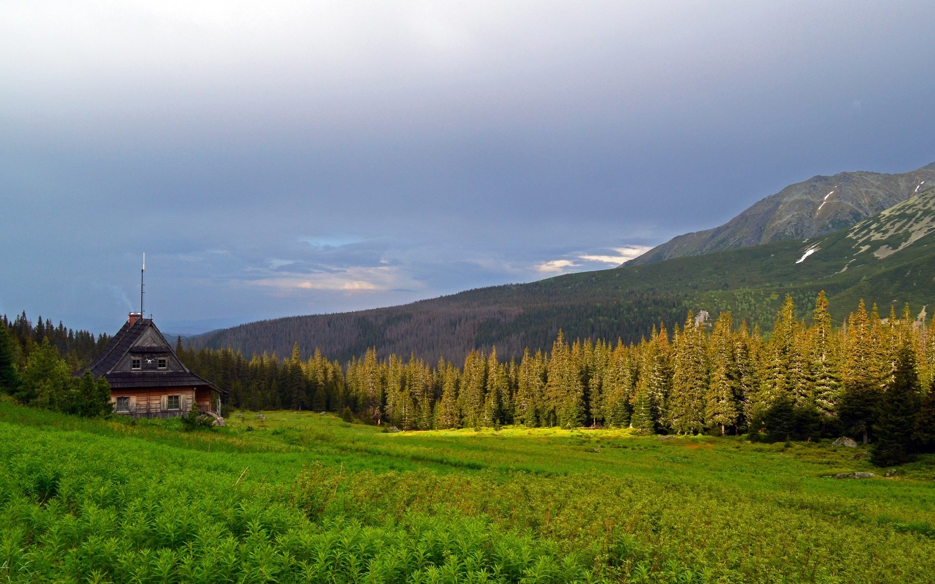 Wooden cabin in a mountain meadow with pine forest HD Wallpaper