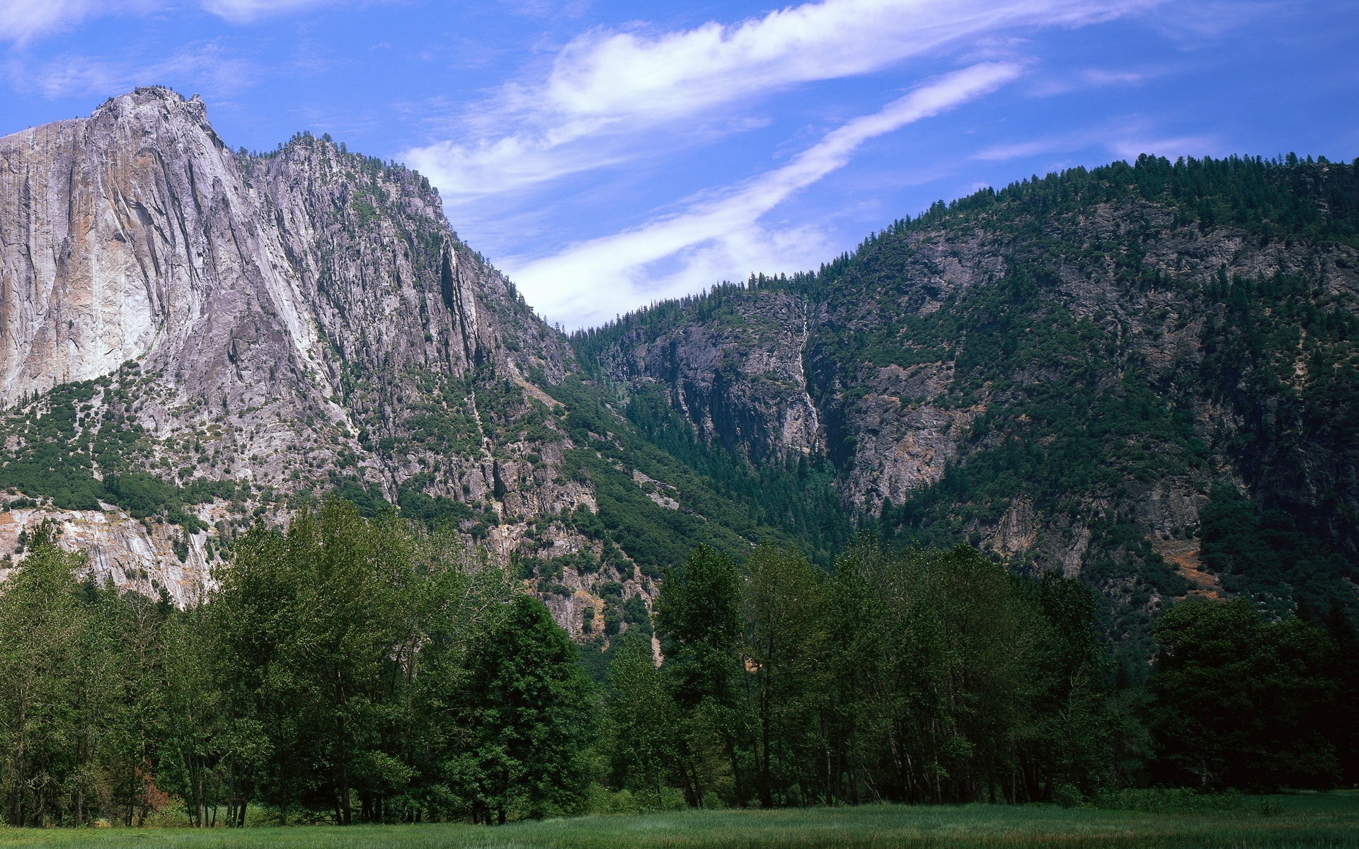 Mountain valley with trees and sky HD Wallpaper