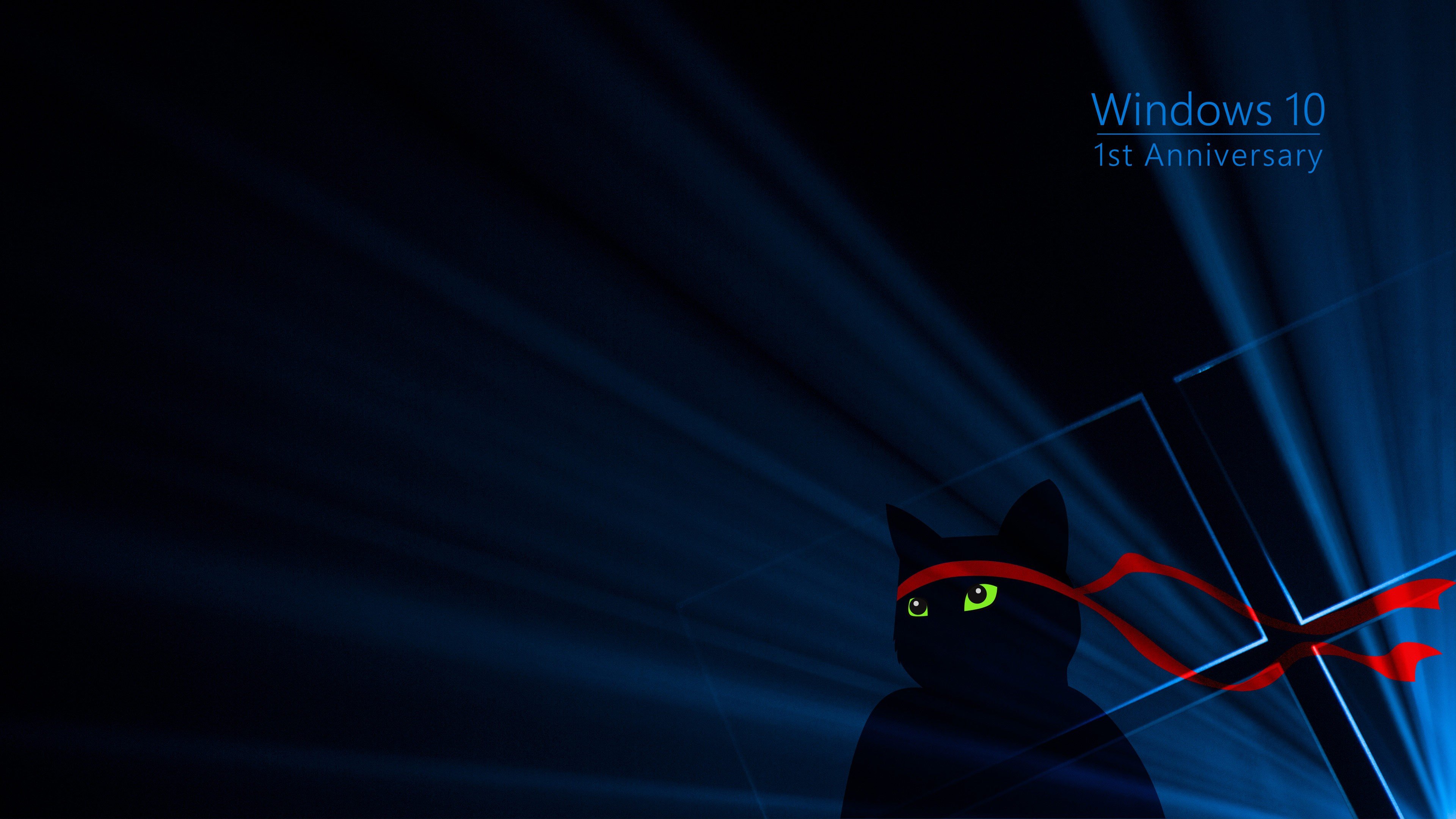Black cat with red bandana and Windows 10 anniversary HD Wallpaper