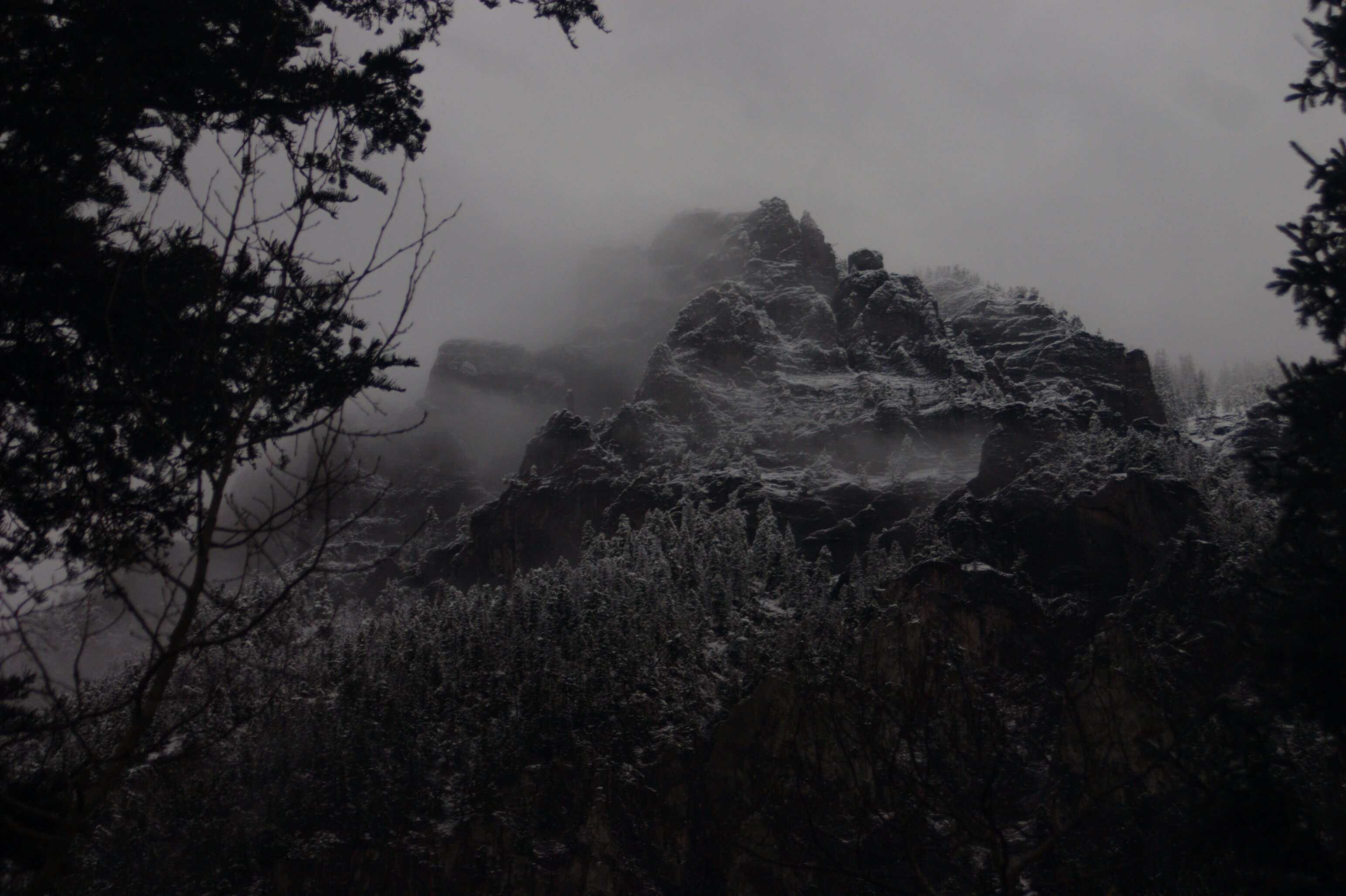 Snowy mountains shrouded in fog with trees in the foreground HD Wallpaper