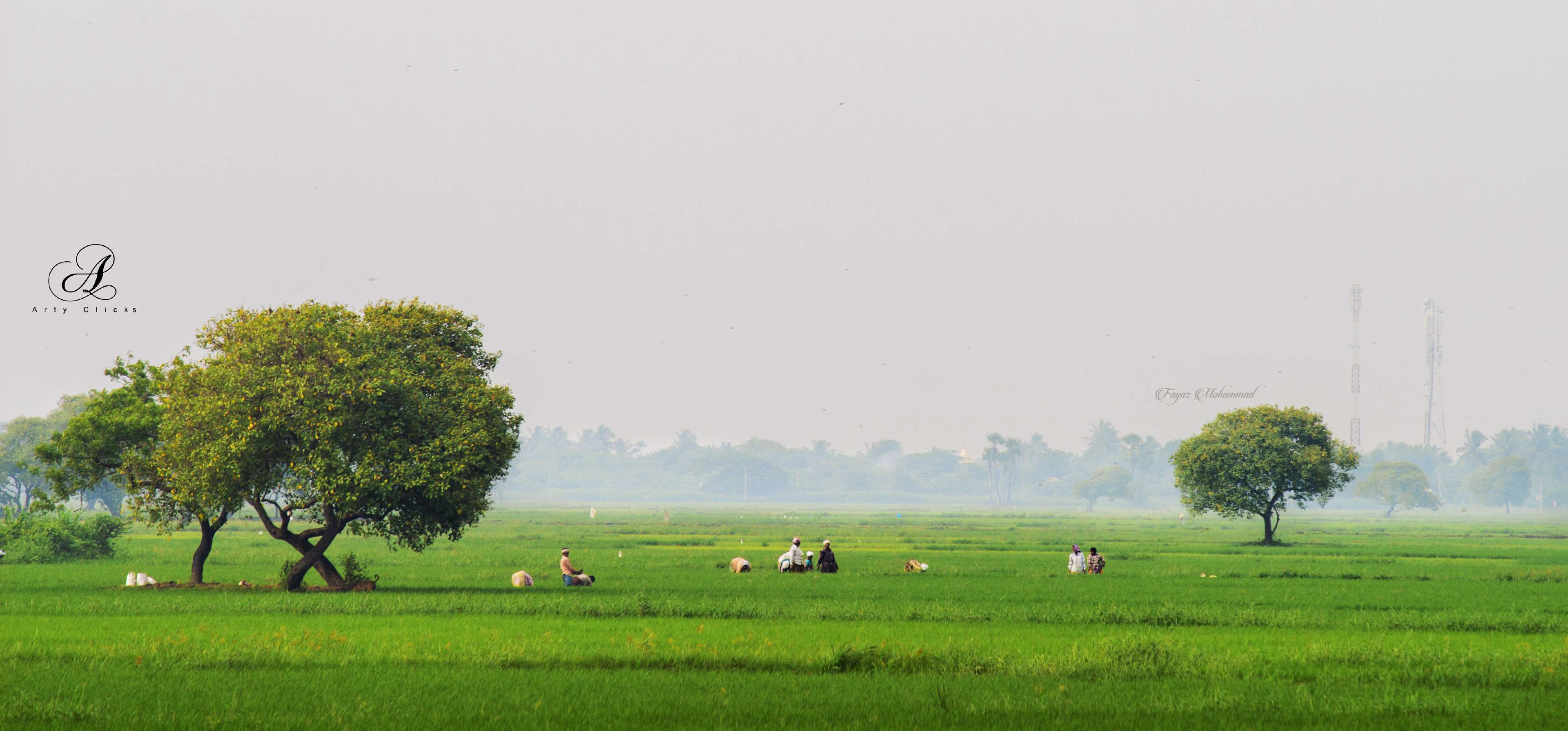 Farming in Andhra Pradesh 4K HD Wallpaper