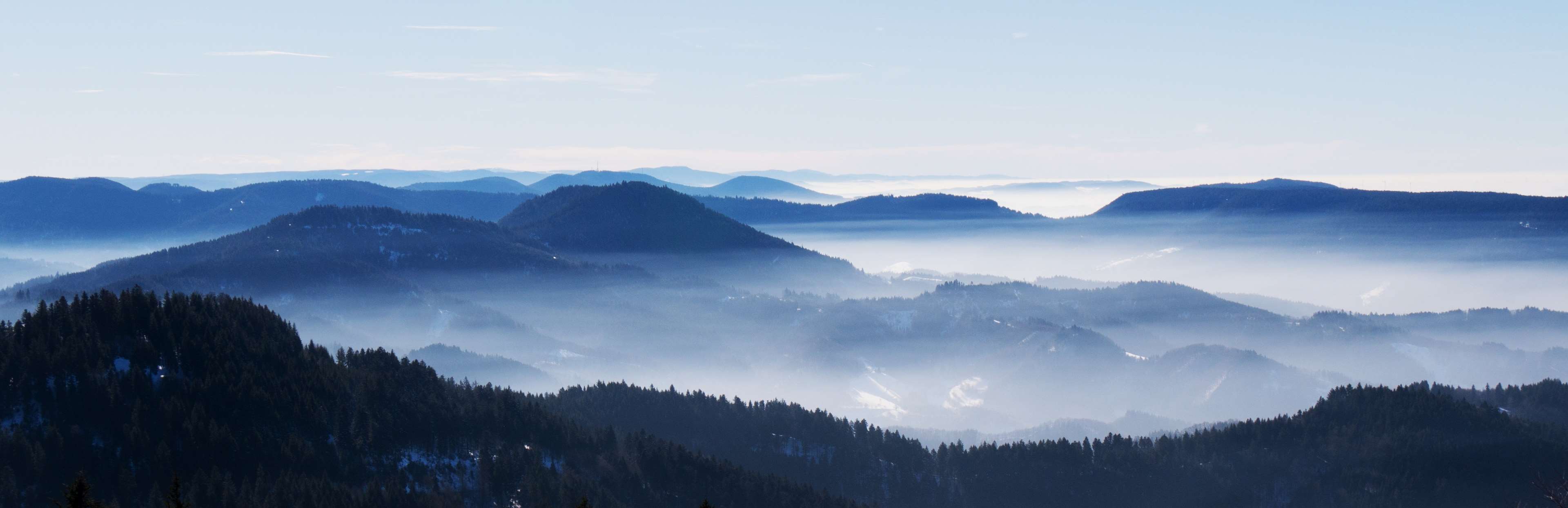 Black Forest landscape with a sea of fog HD Wallpaper