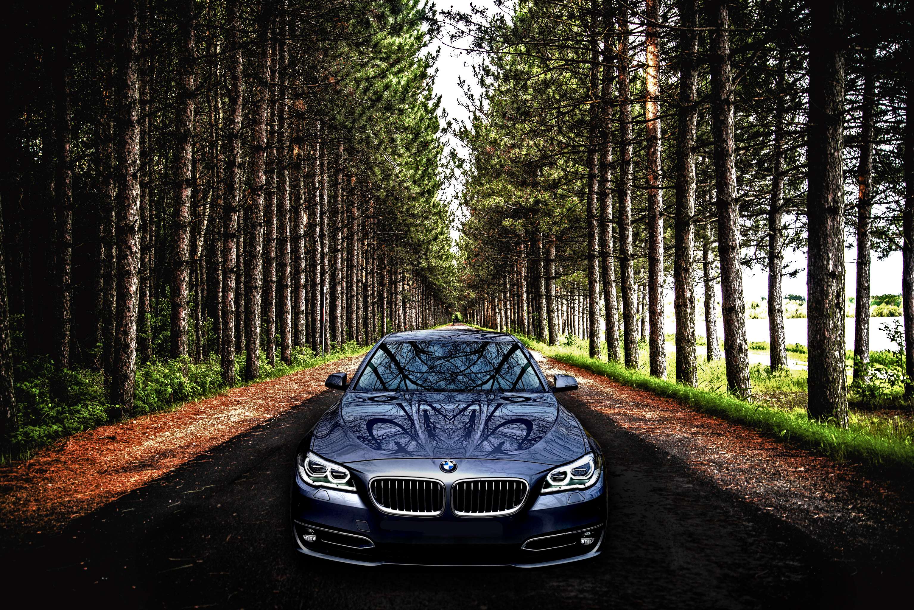 Blue BMW car on a forest road HD Wallpaper
