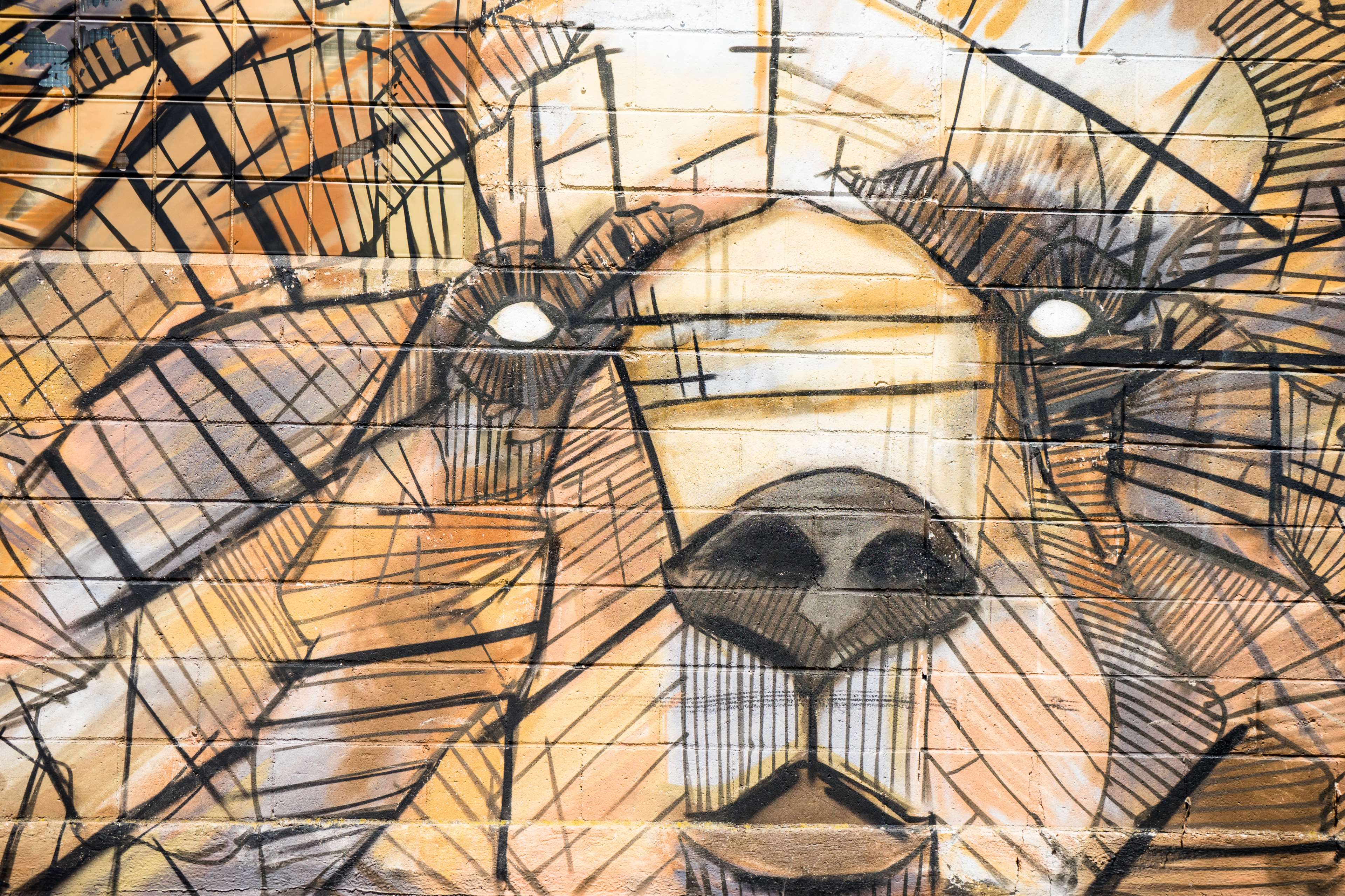 Graffiti painting of a bear face on a wall HD Wallpaper