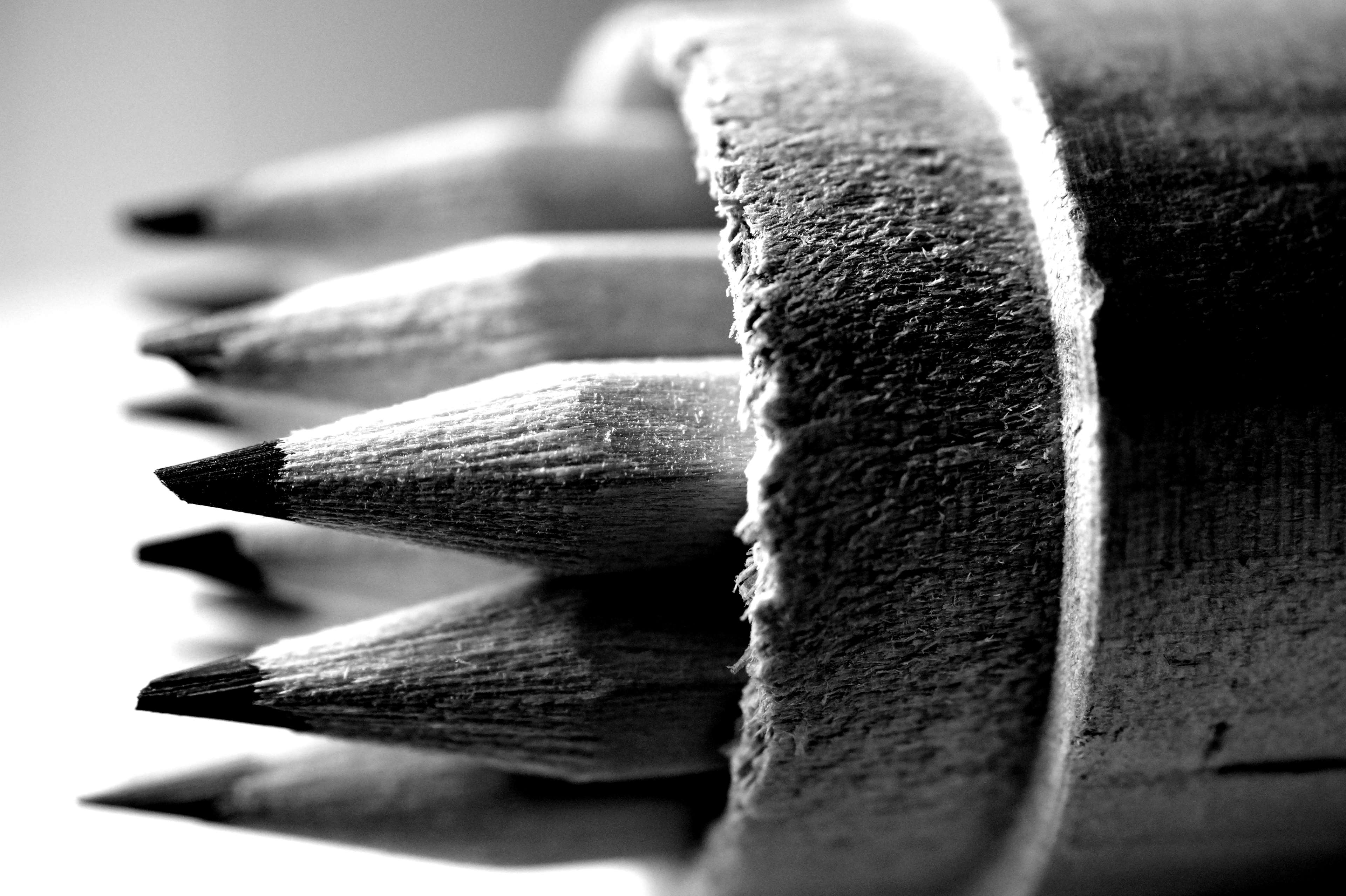 Macro shot of sharpened pencils in a holder HD Wallpaper