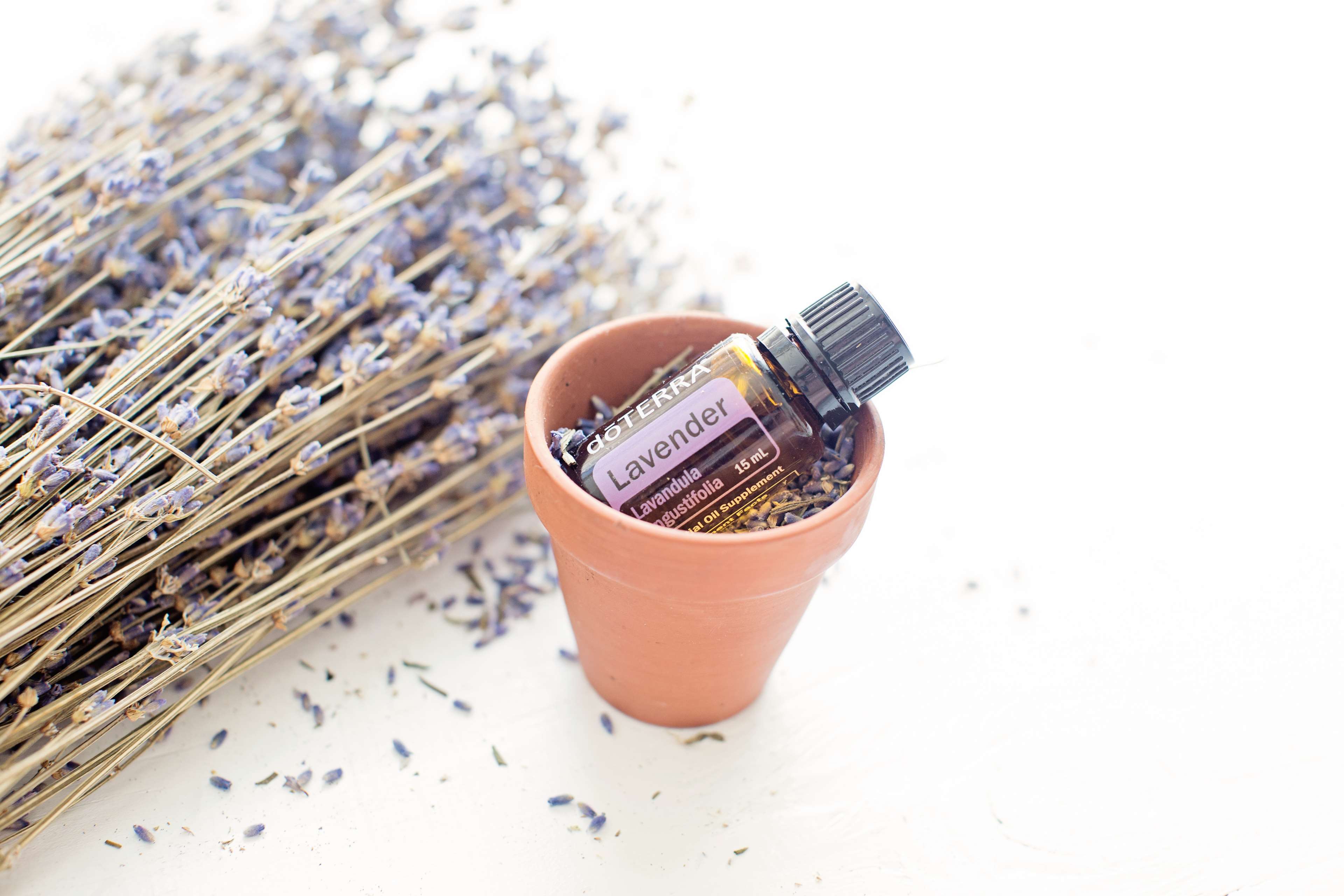 DoTERRA Lavender Essential Oil in Terracotta Pot HD Wallpaper