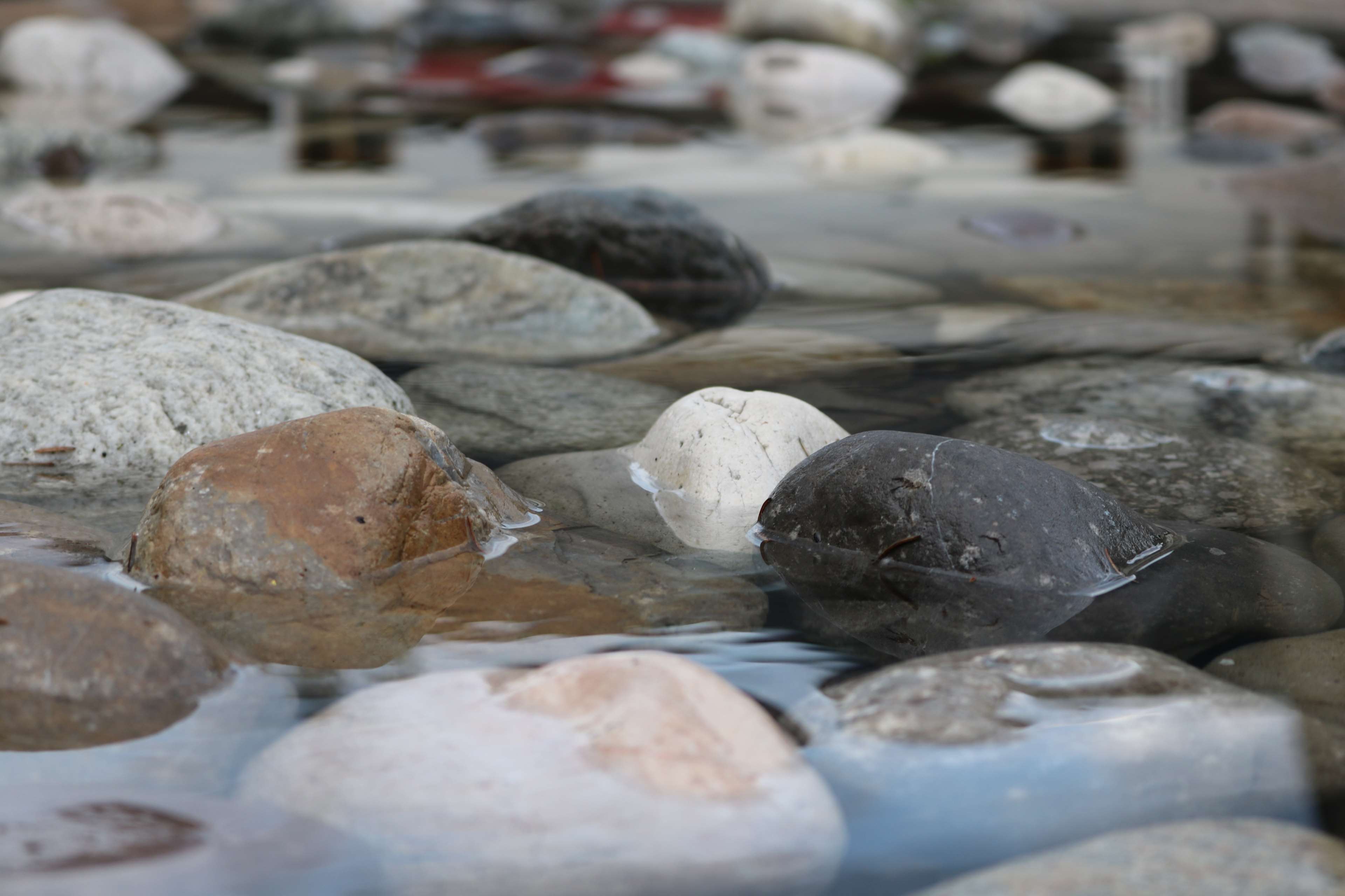 Wet stones in shallow water HD Wallpaper