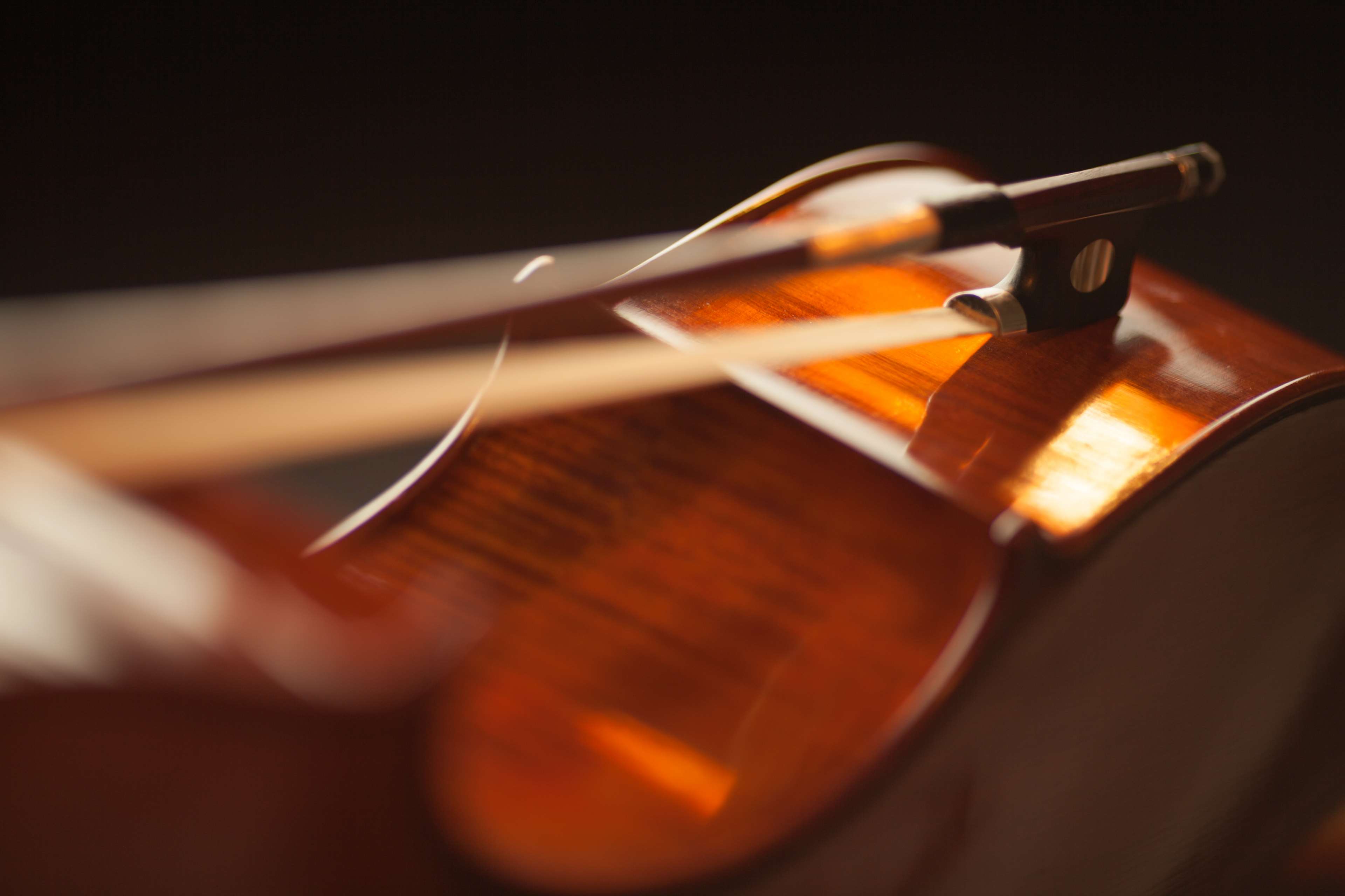 Close-up of a violin bow on a wooden violin HD Wallpaper