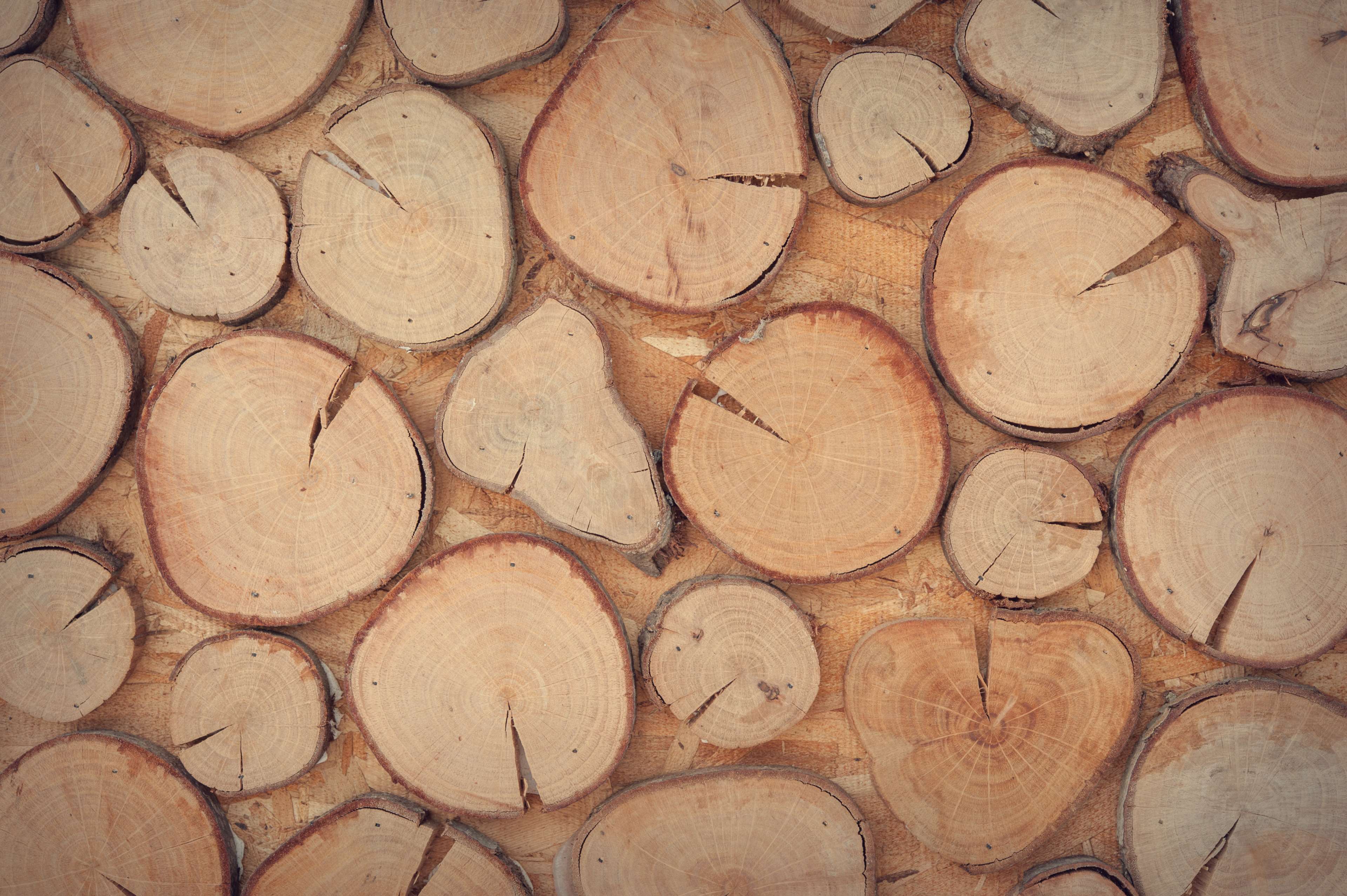Wood slices decoration surface texture wall 4K HD Wallpaper