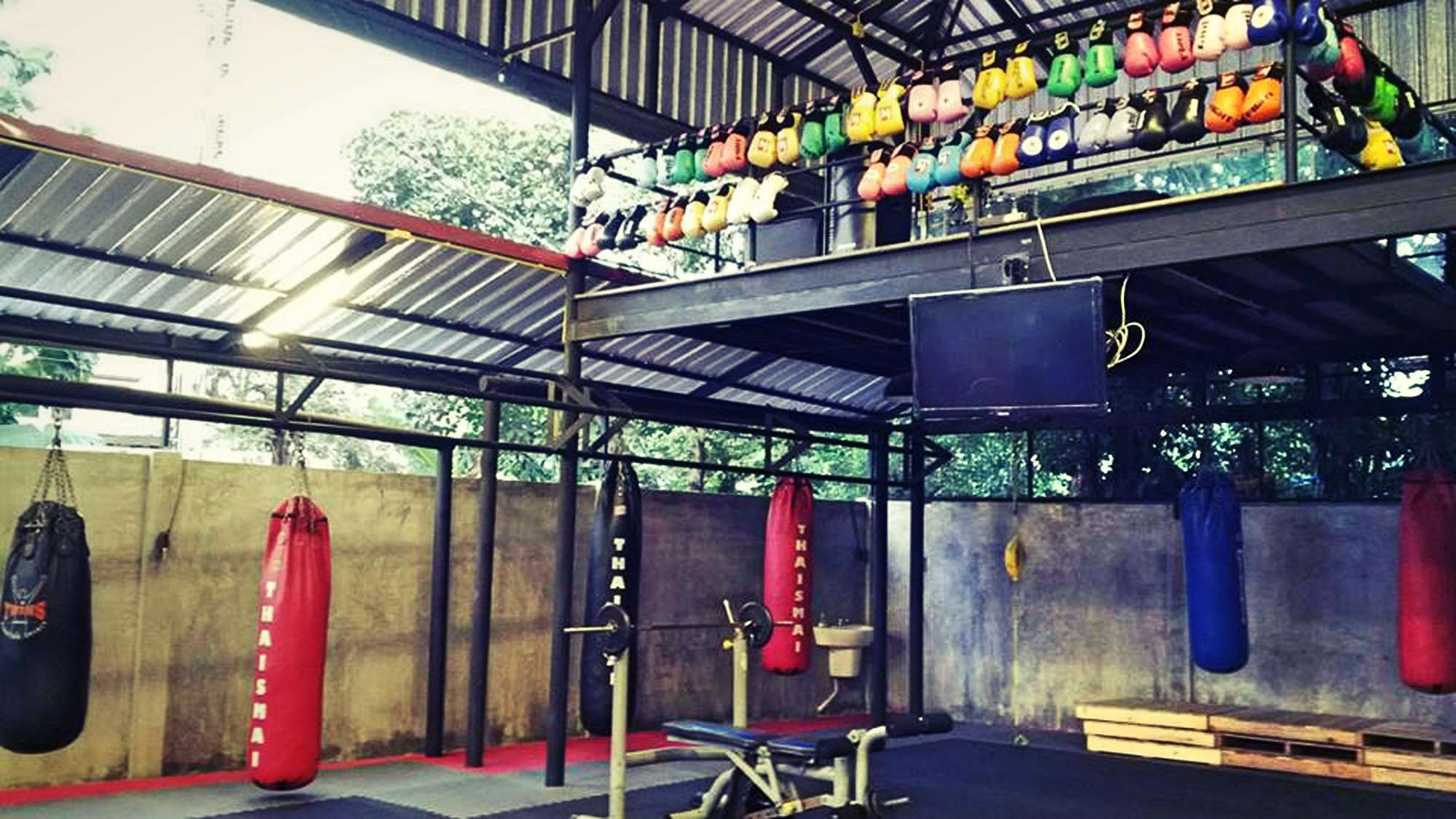 Muay Thai boxing gym with punching bags and gloves HD Wallpaper