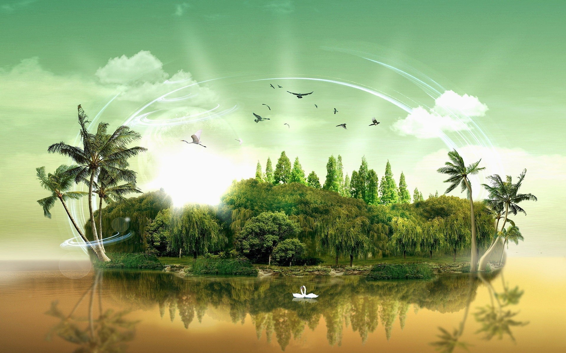 Fantasy island with palm trees and birds HD Wallpaper