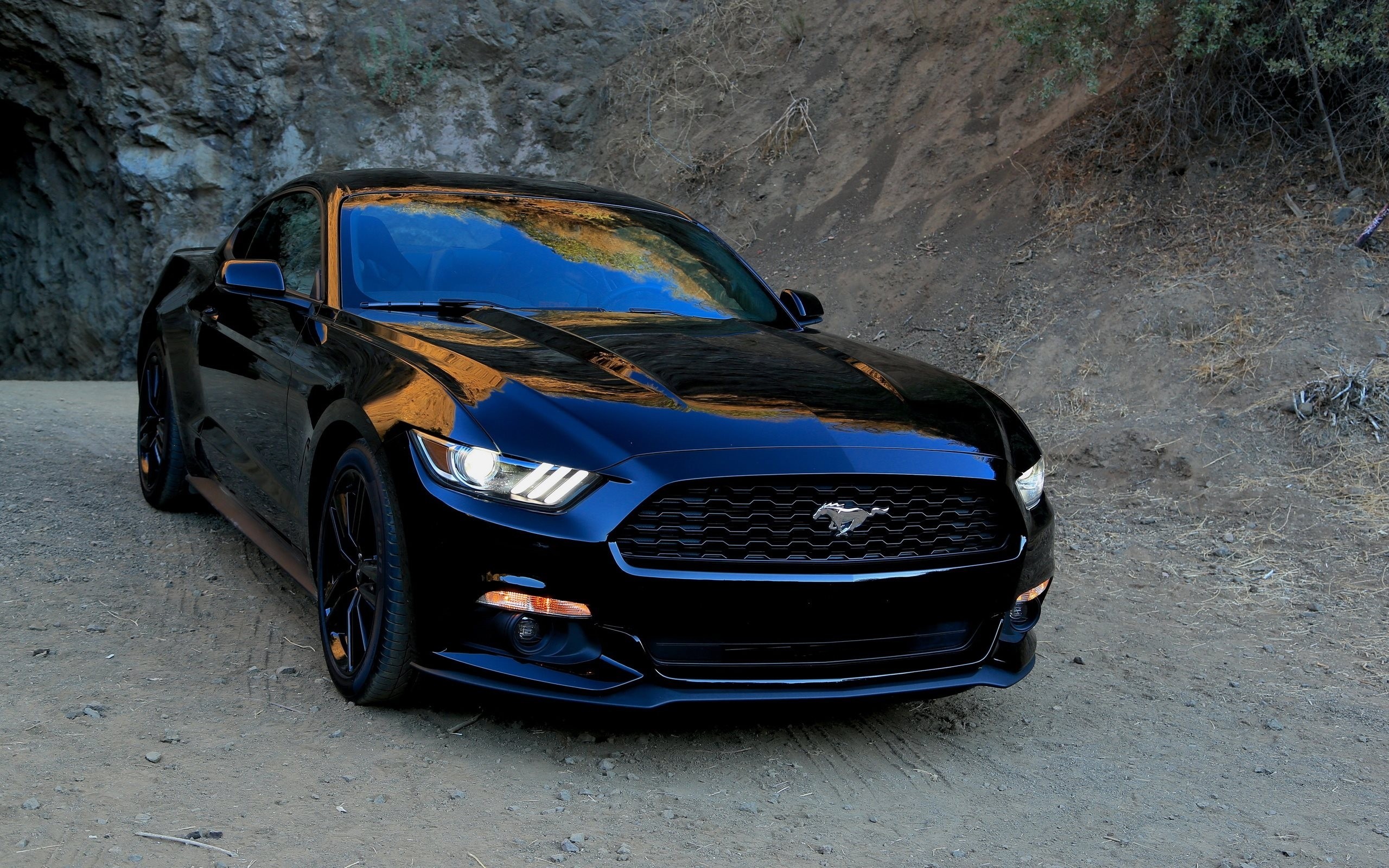 Black Ford Mustang parked on a dirt road HD Wallpaper