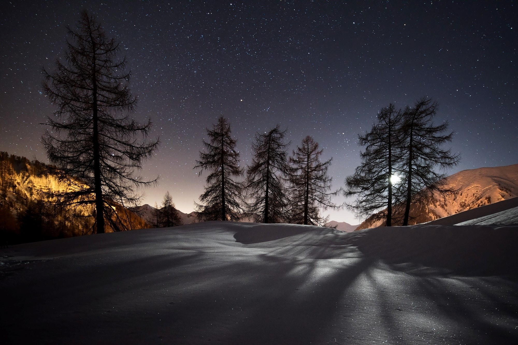 Winter night landscape with snow-covered ground and trees under a starry sky HD Wallpaper