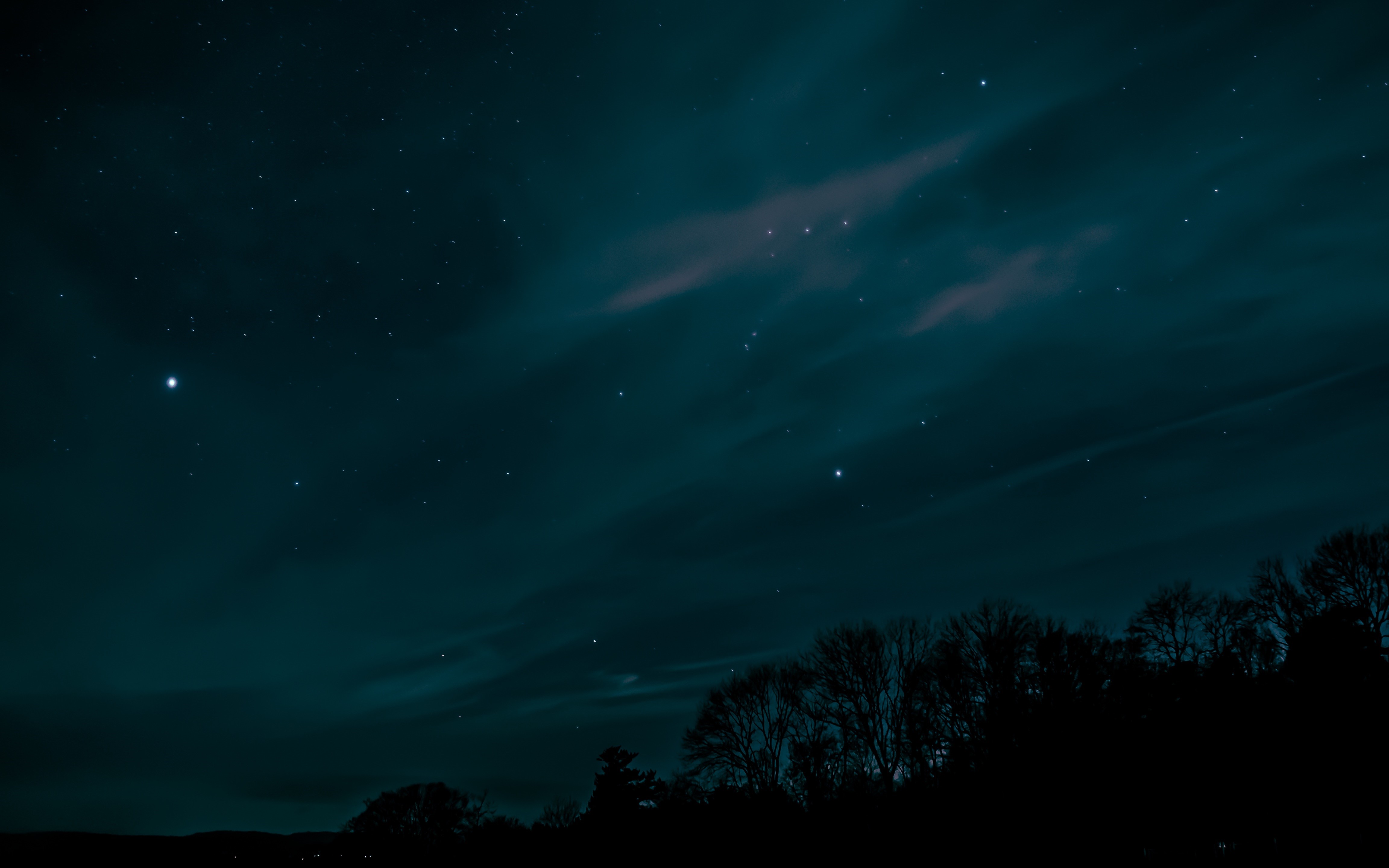 Night sky with stars and silhouetted trees HD Wallpaper