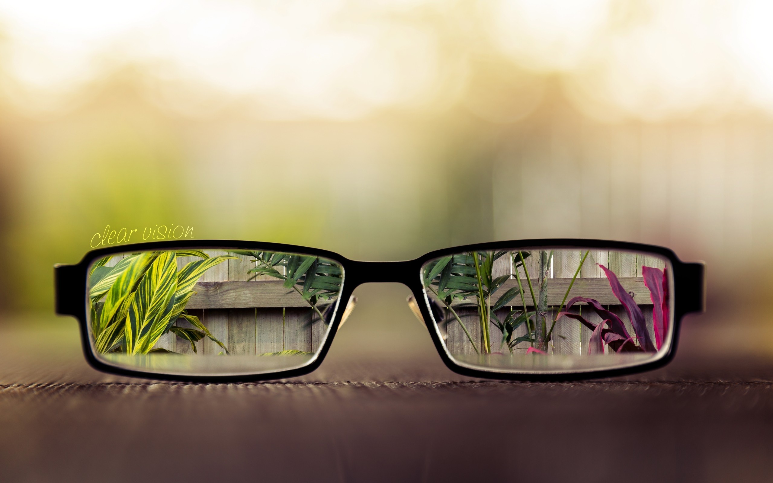 Glasses reflecting plants and a fence HD Wallpaper