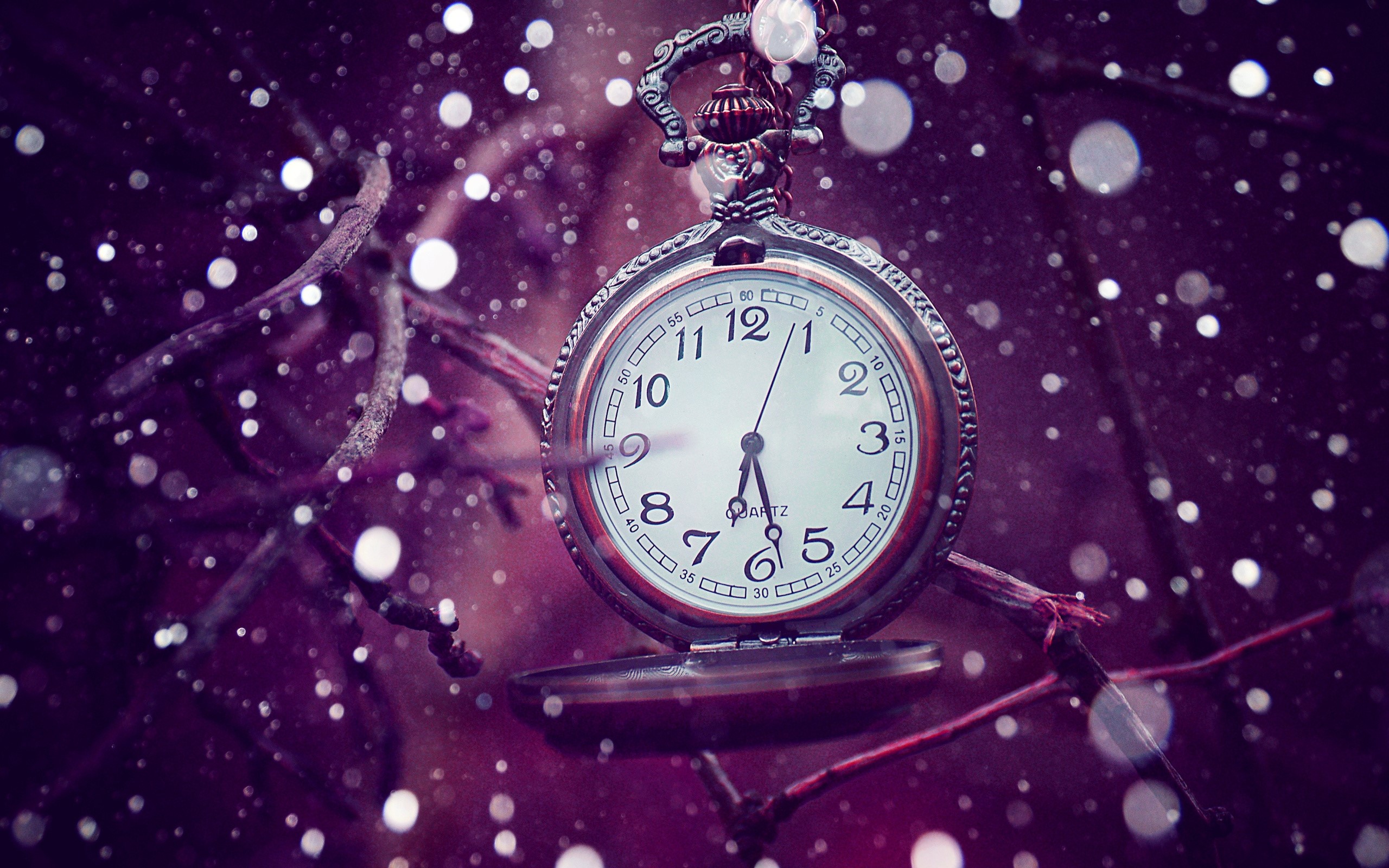 Pocket watch hanging on a branch HD Wallpaper