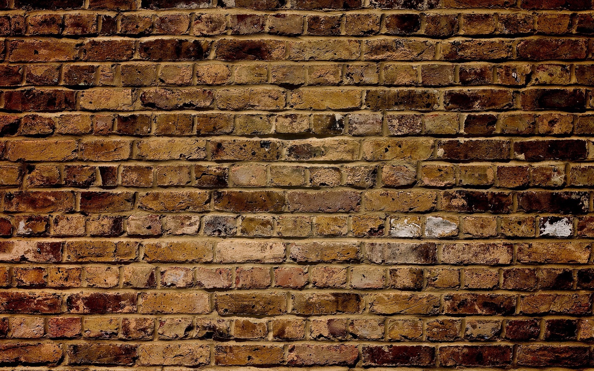 A weathered brick wall texture HD Wallpaper