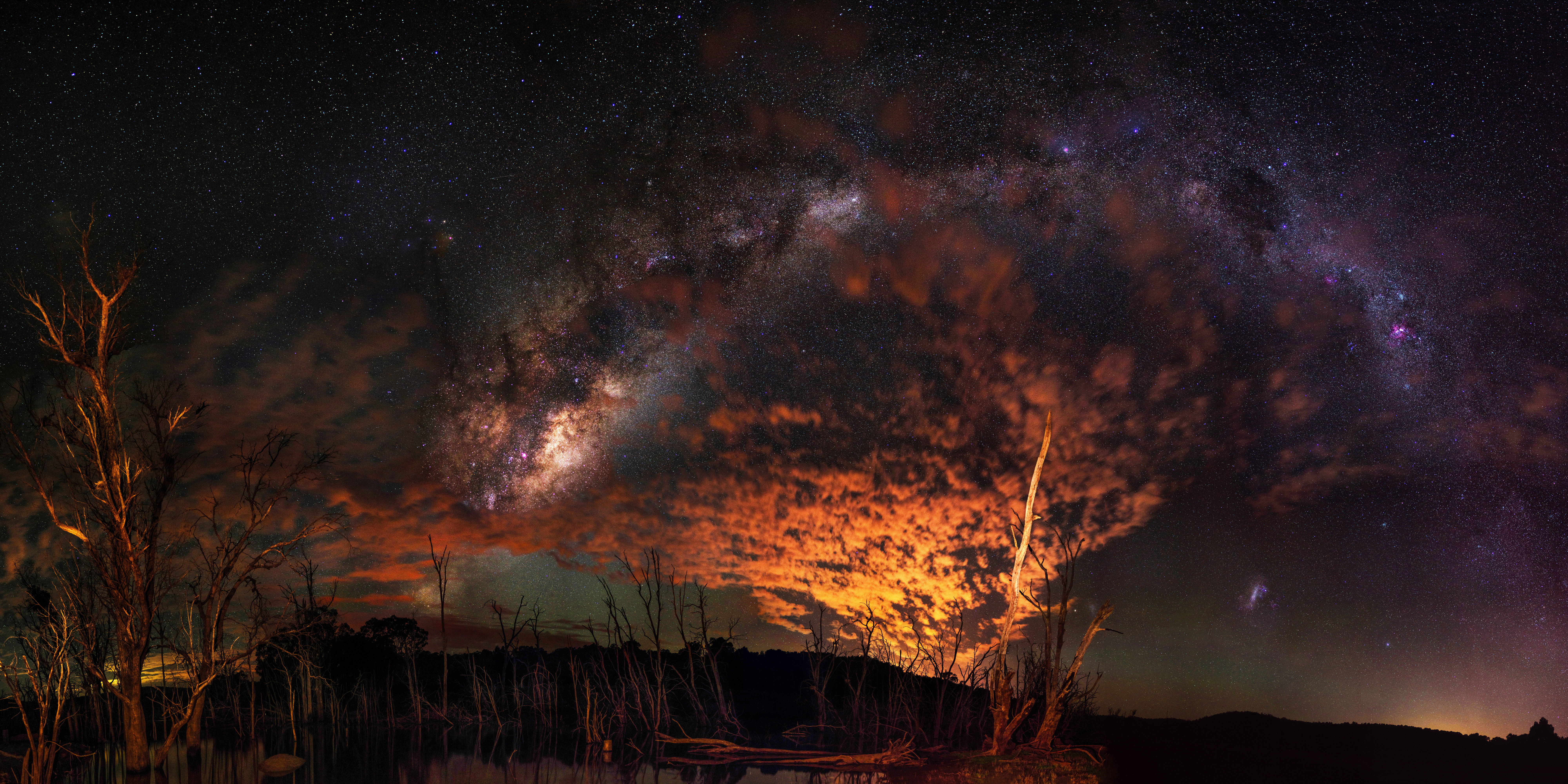 Milky Way over dead trees and water HD Wallpaper