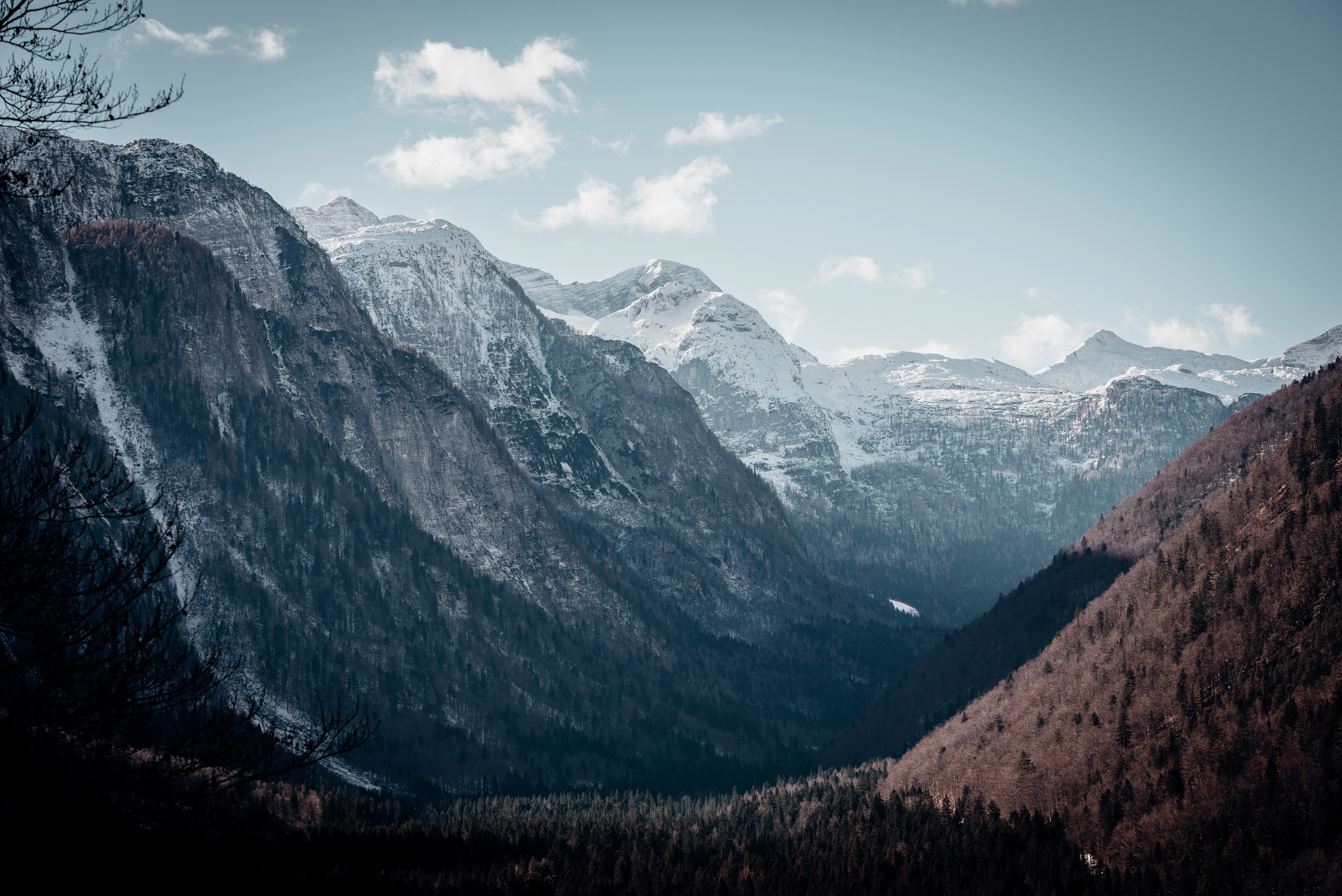 Snow-capped mountains and a forested valley HD Wallpaper