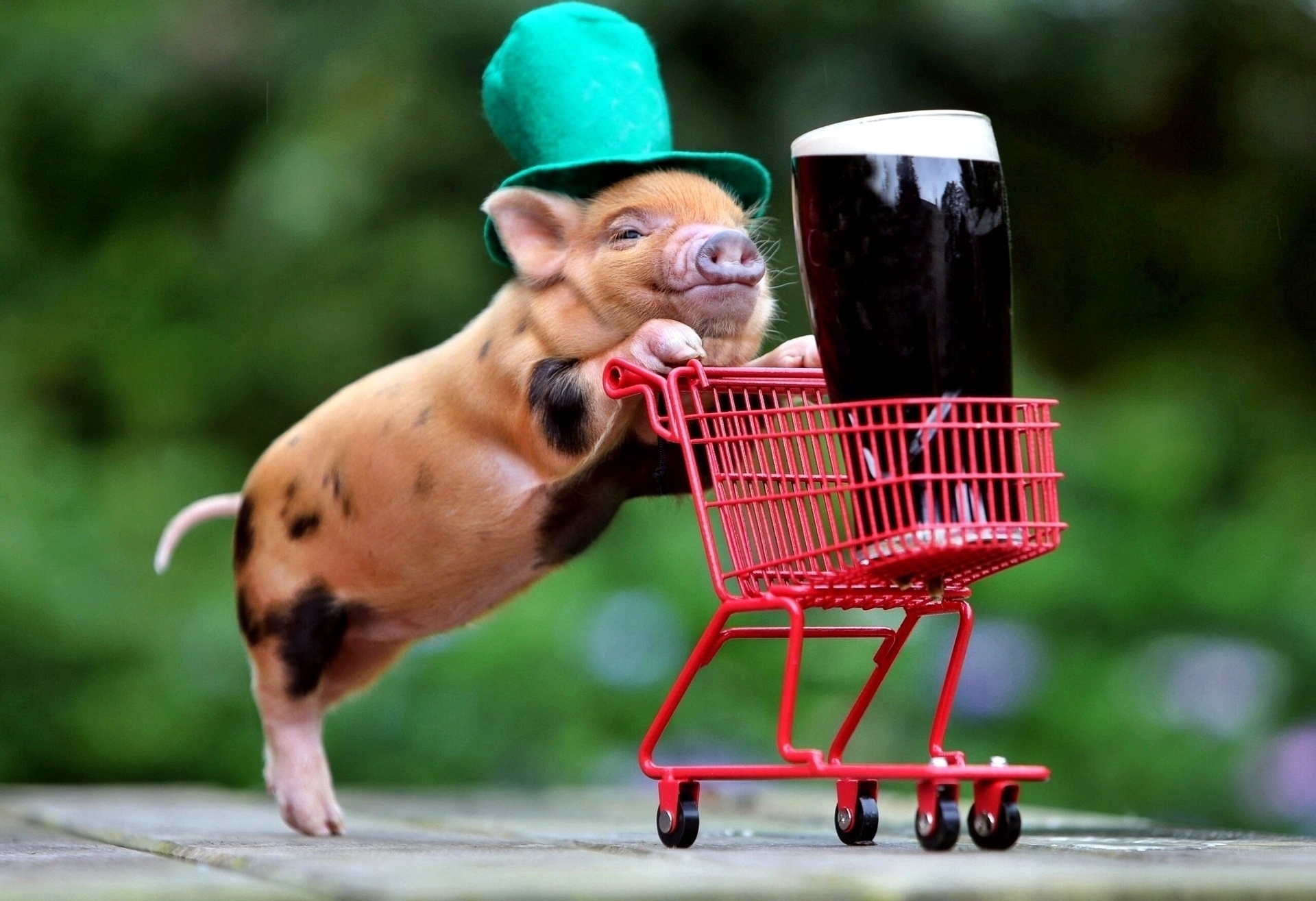 Piglet Wearing Green Hat with Beer and Cart HD Wallpaper
