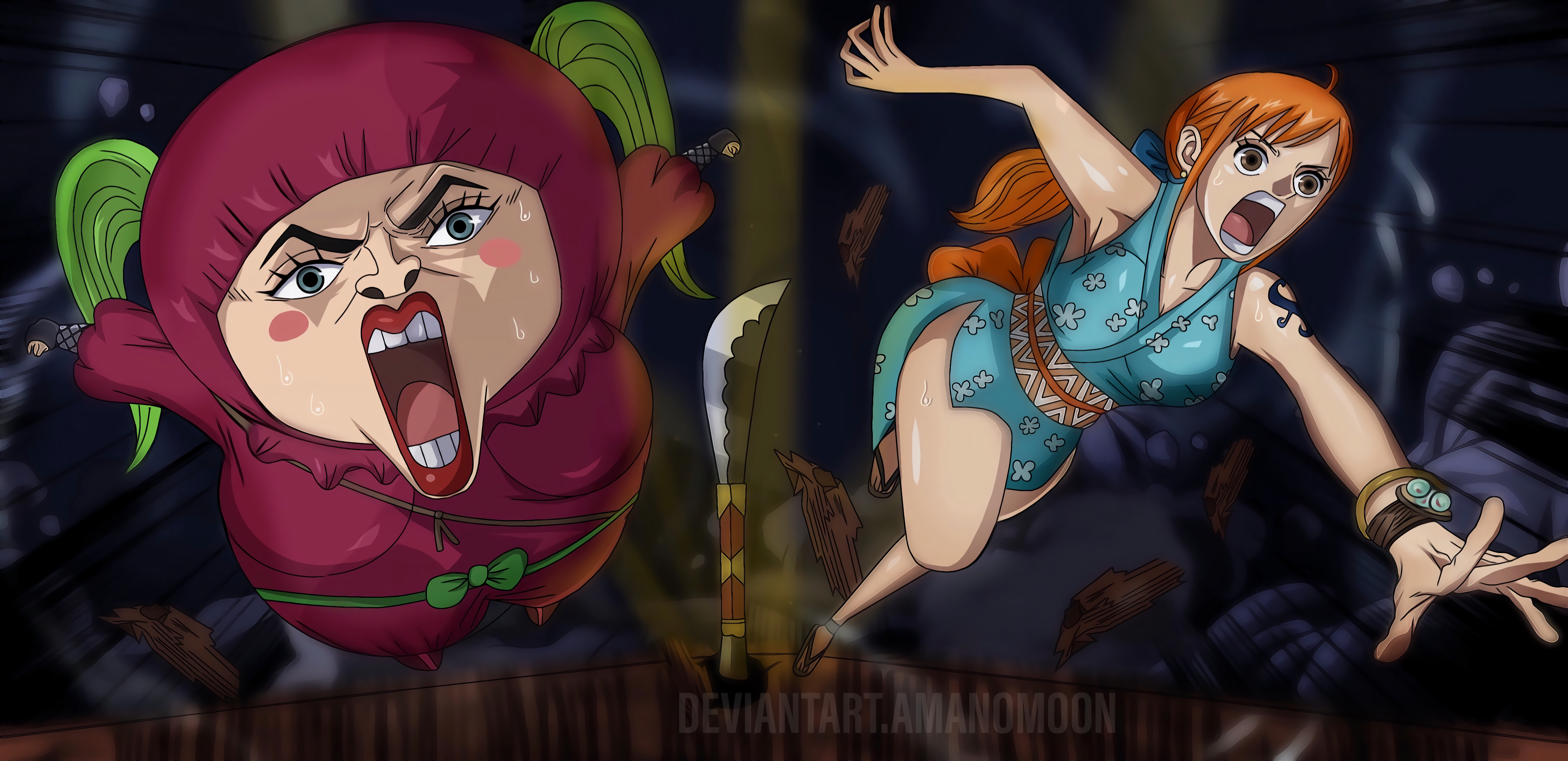 Nami and Shinobu from One Piece fighting HD Wallpaper