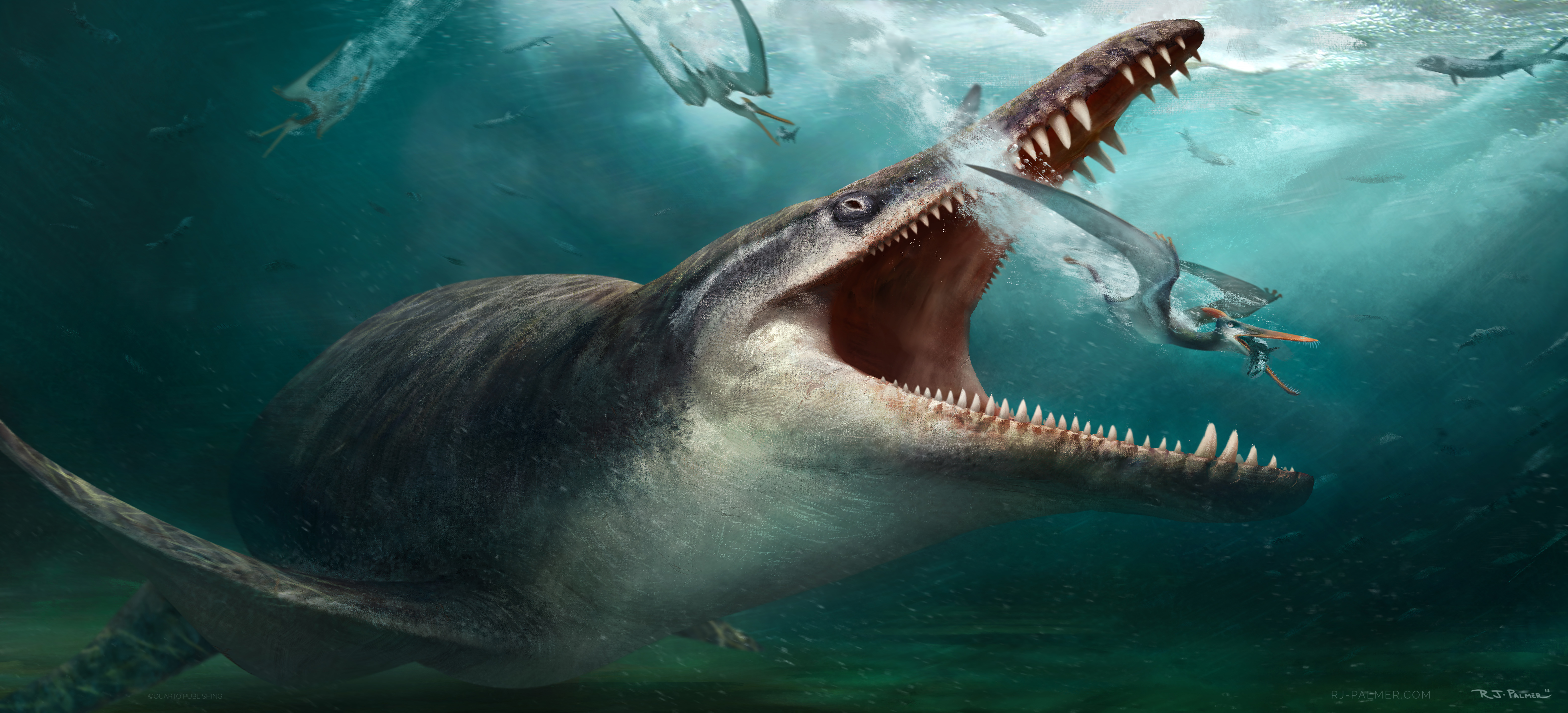 Mosasaurus eating a Pterosaur in the ocean HD Wallpaper