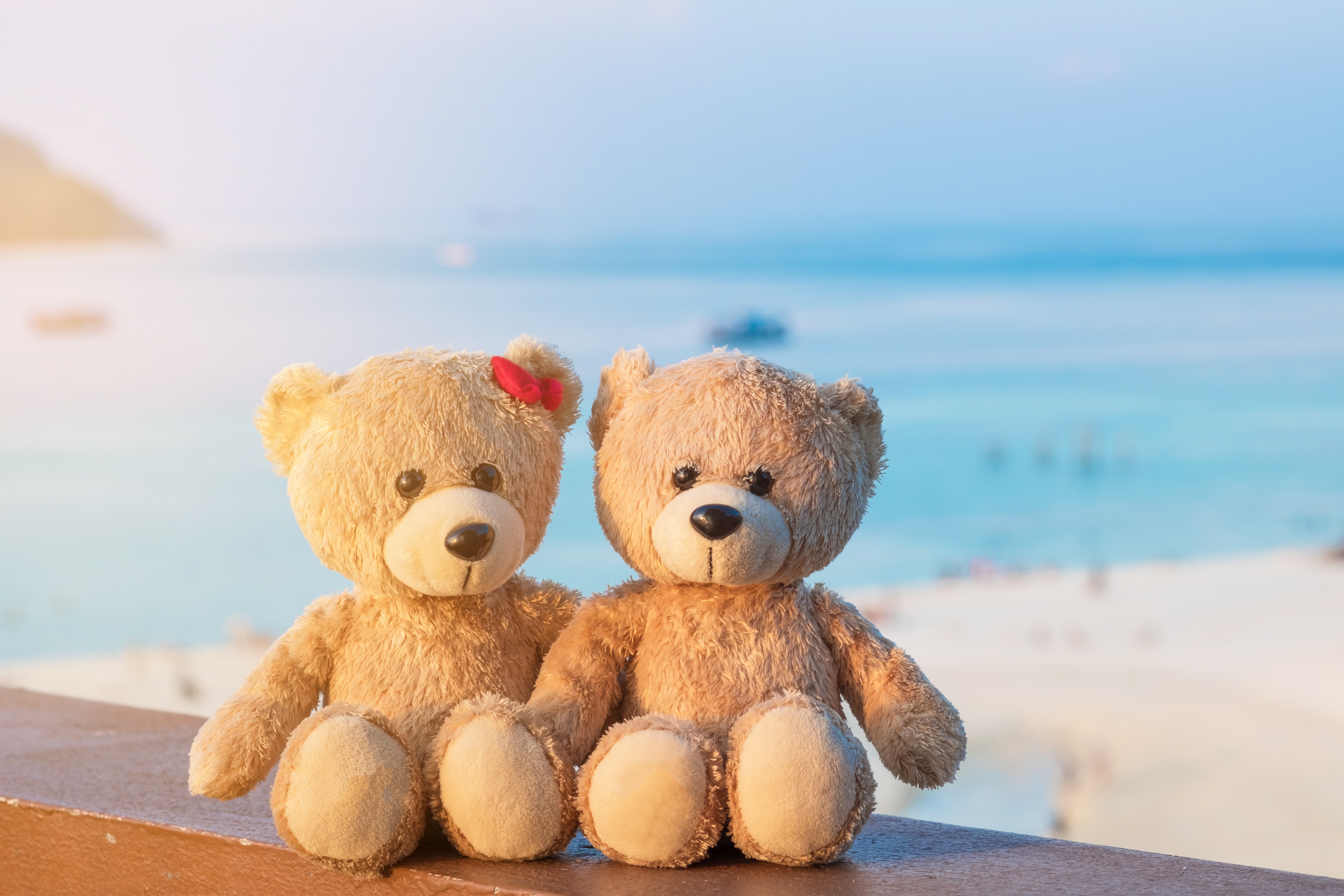 Two teddy bears sitting on a railing at the beach HD Wallpaper