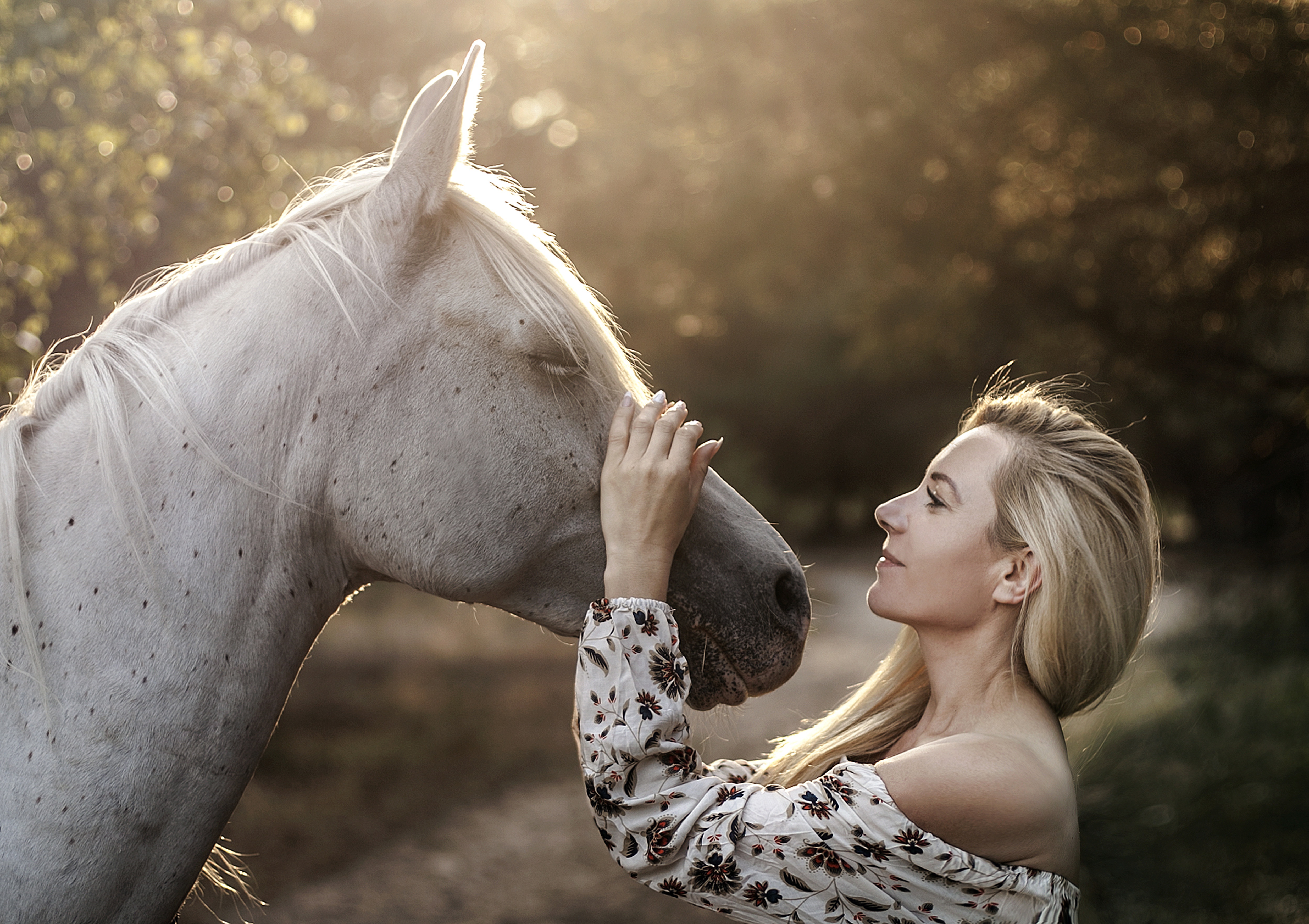 Blonde Woman Gently Touching White Horse HD Wallpaper