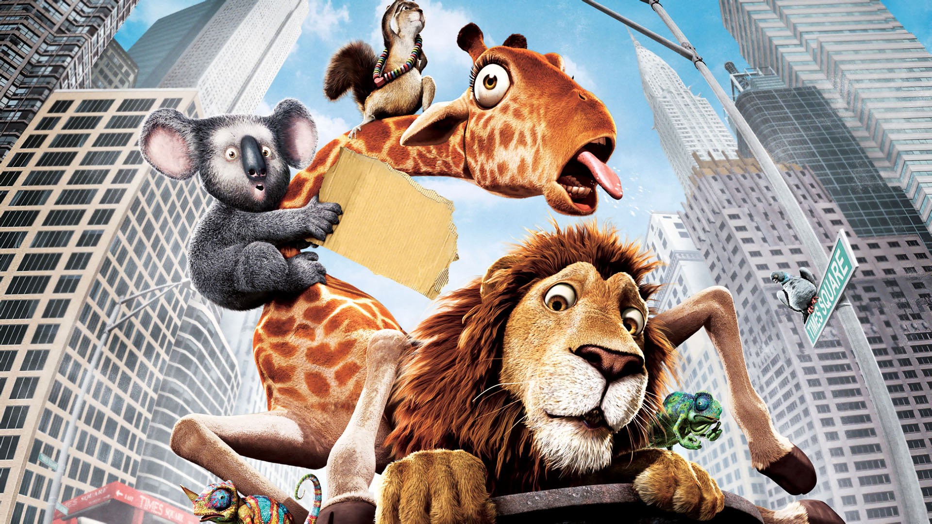 The Wild Animals in New York City HD Wallpaper