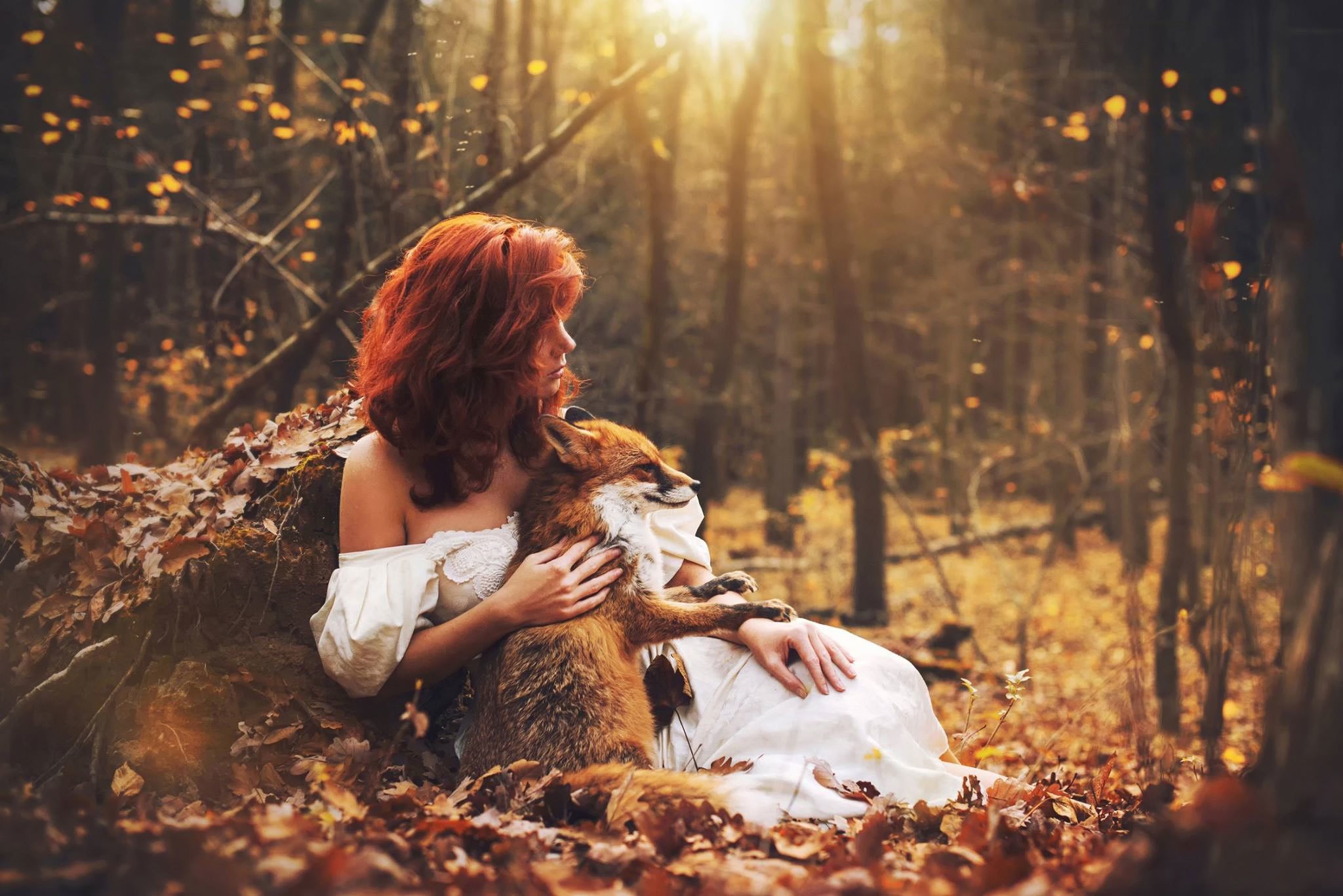 Woman with fox in autumn forest HD Wallpaper