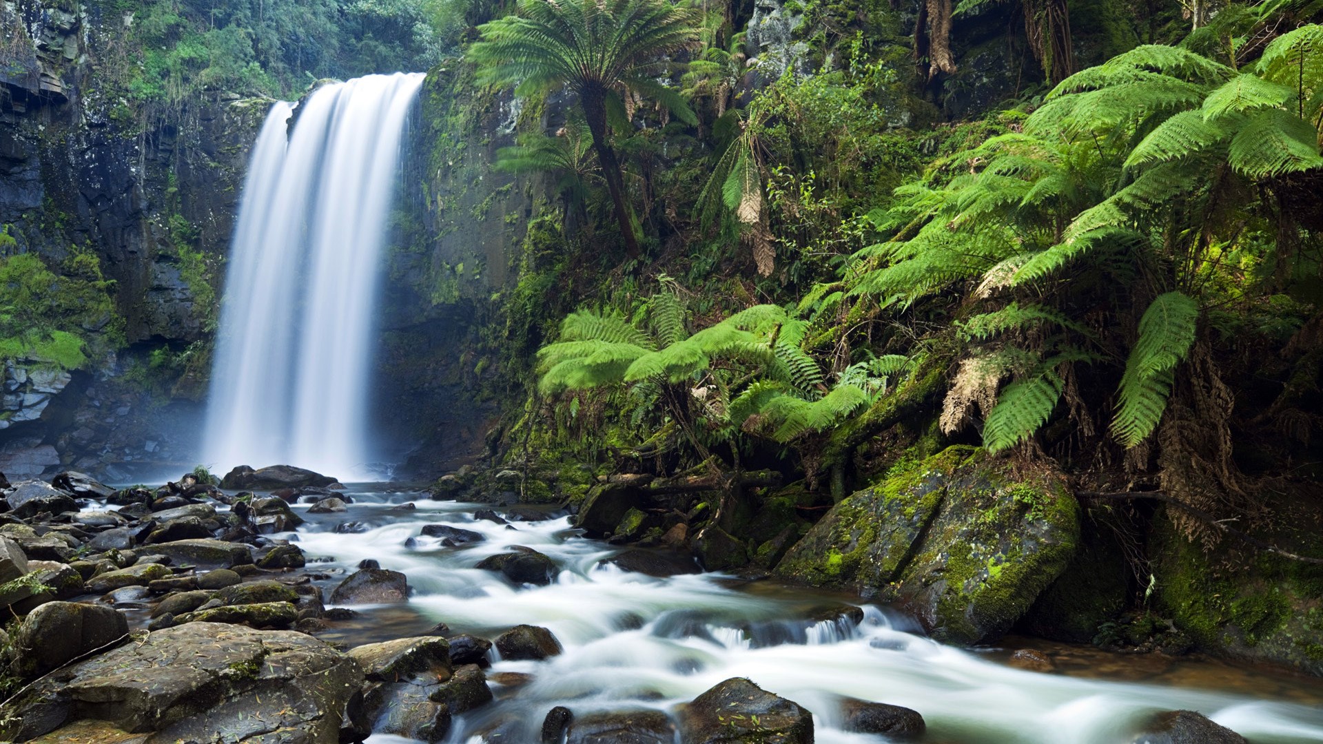 Waterfall in a lush green forest with rocks and a stream HD Wallpaper