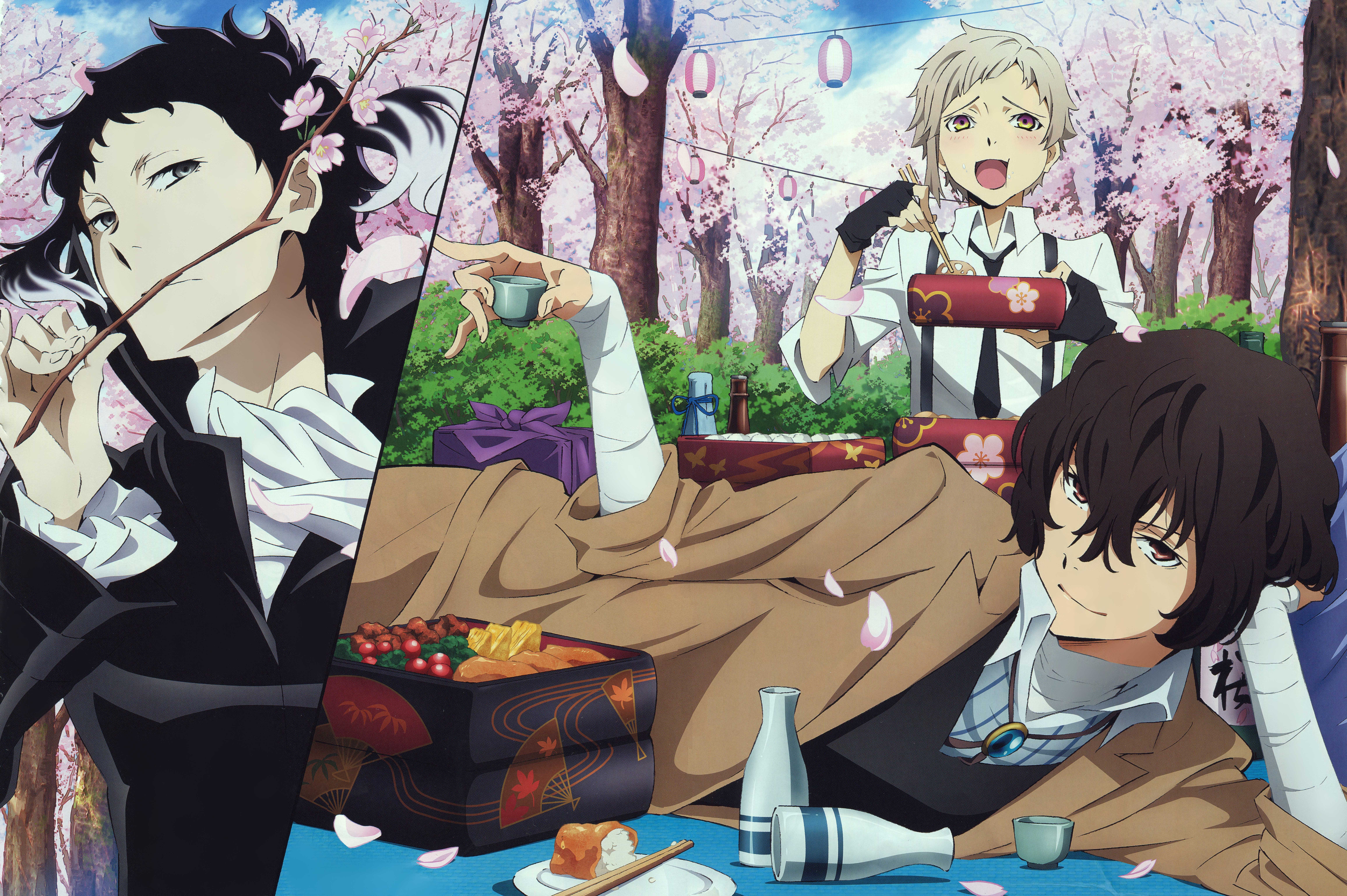 Bungo Stray Dogs characters enjoying a picnic under cherry blossoms HD Wallpaper