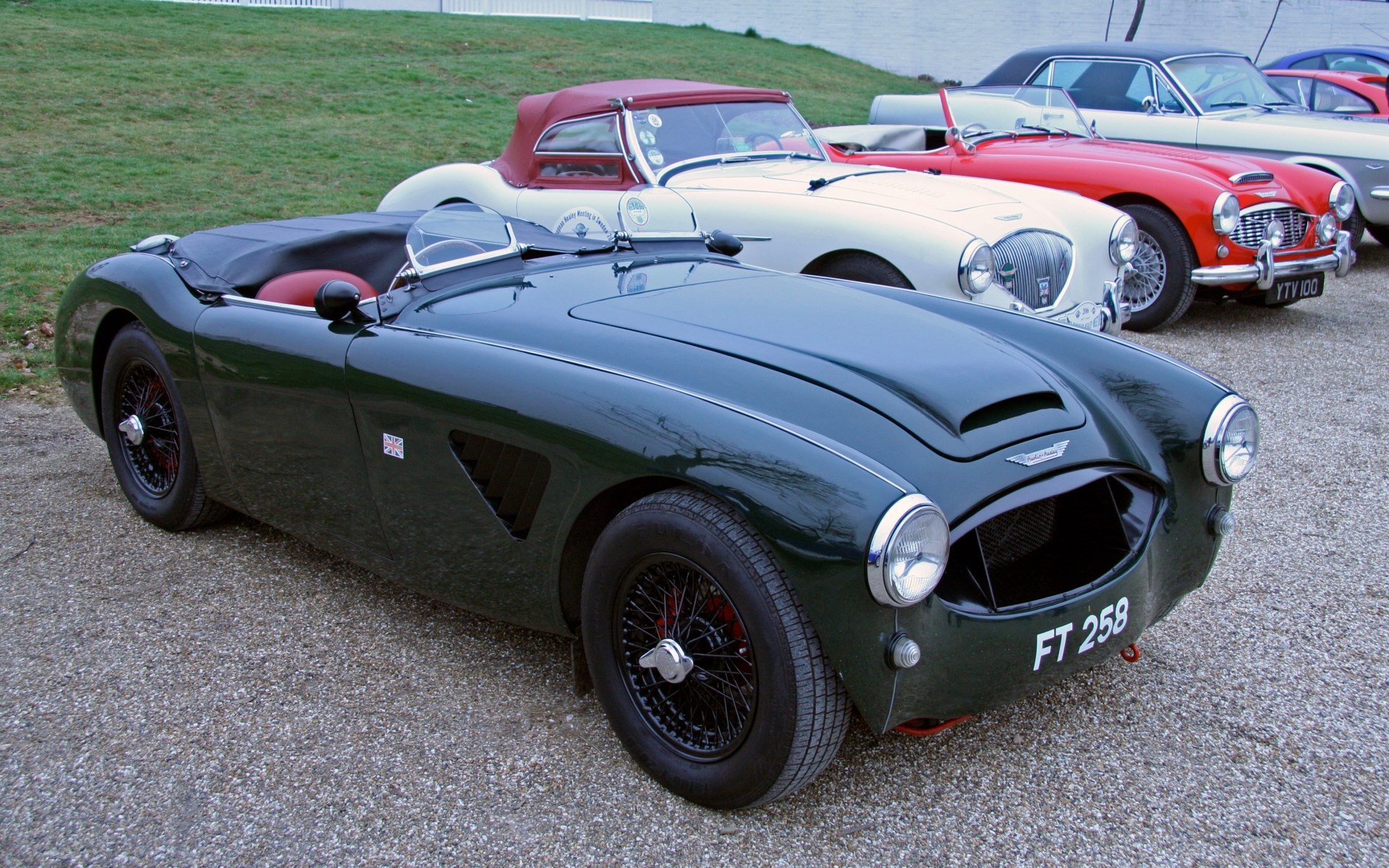 Austin Healey 3000 sports cars parked outdoors HD Wallpaper