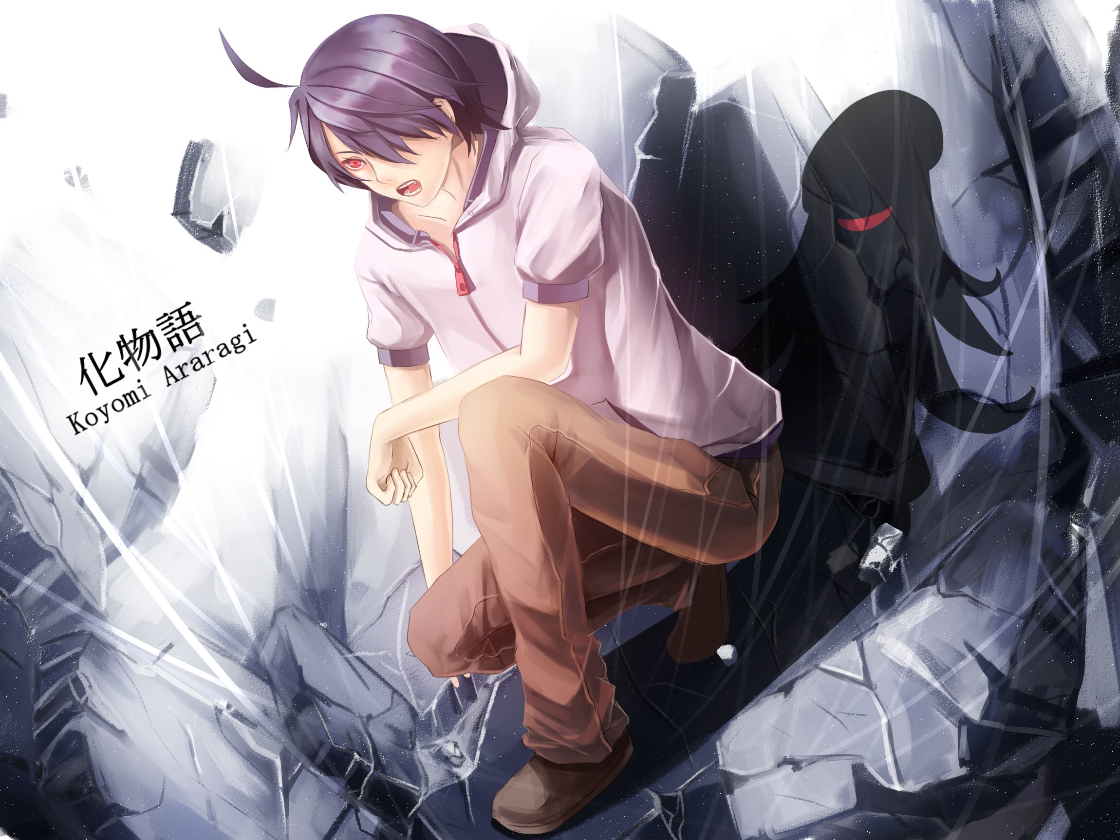 Koyomi Araragi from Monogatari Series HD Wallpaper