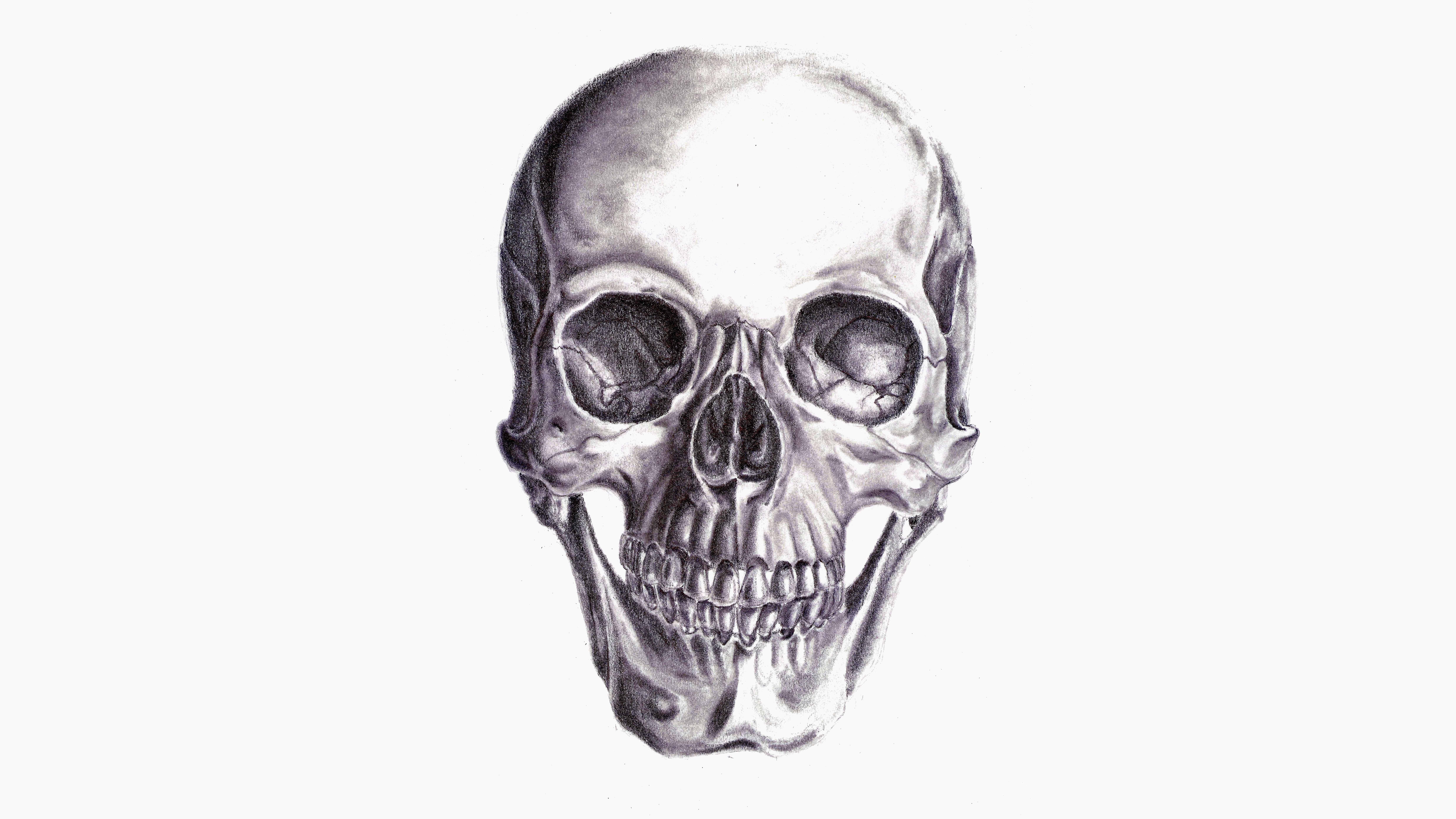 Pencil drawing of a human skull HD Wallpaper