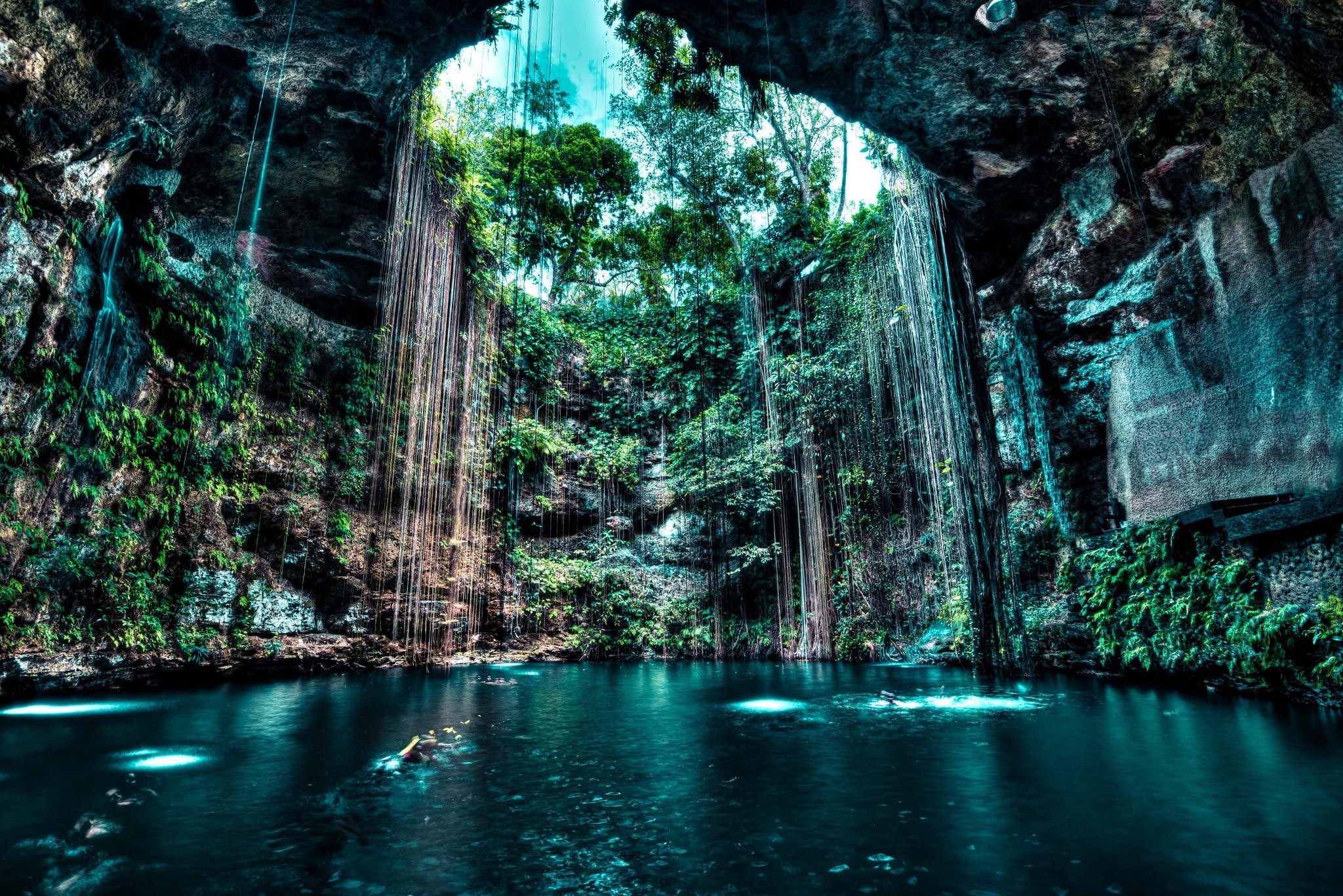 Cave with hanging vines and a pool of water HD Wallpaper