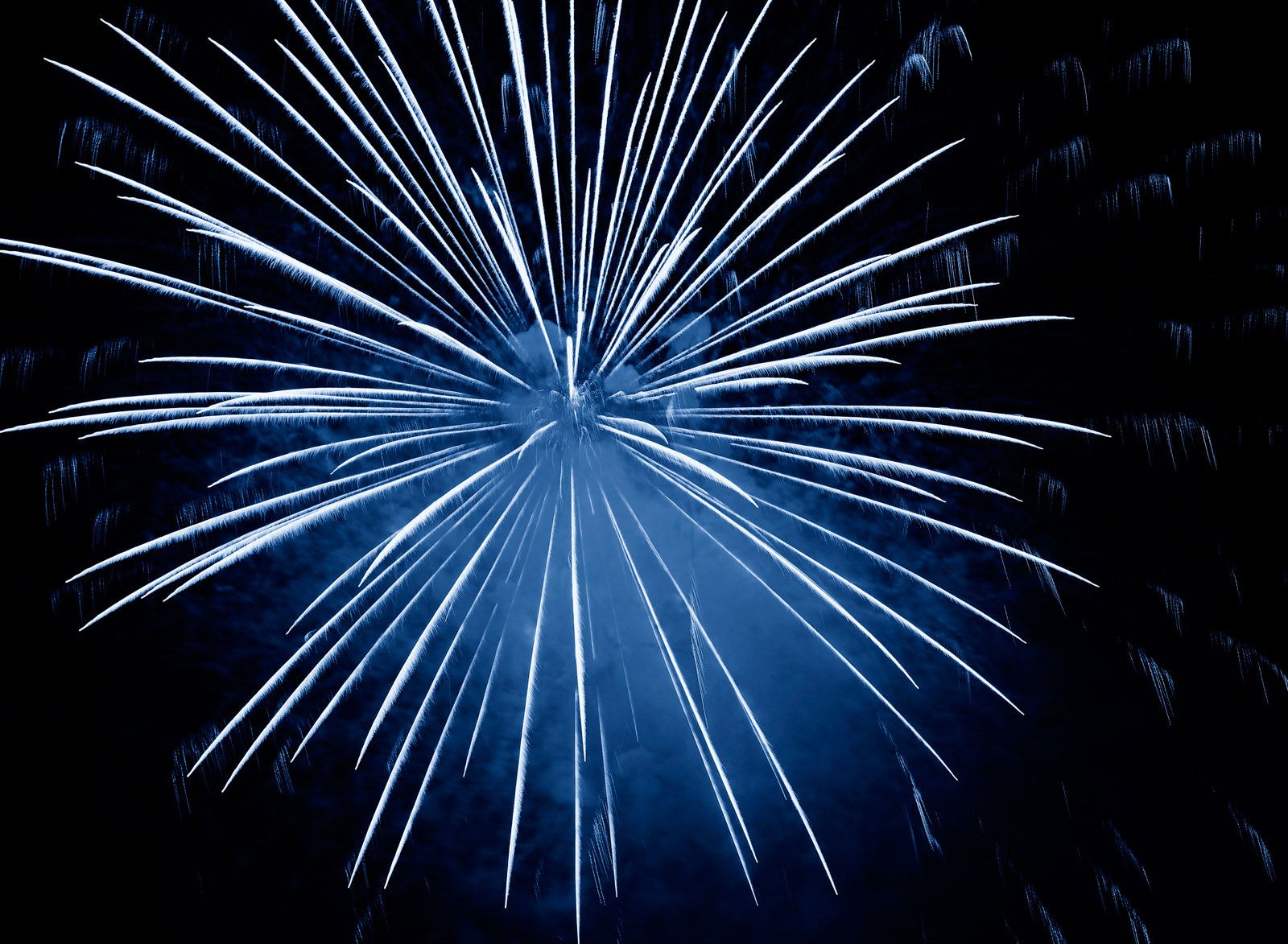 Blue fireworks exploding in the night sky HD Wallpaper