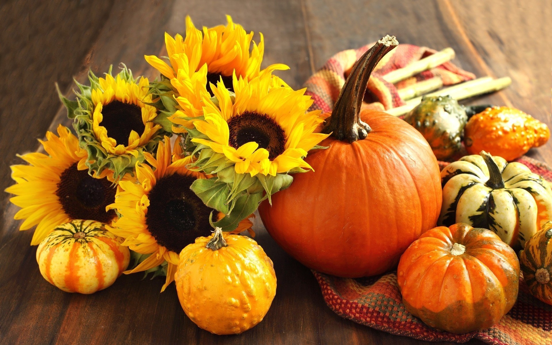 Pumpkins and sunflowers on a wooden table HD Wallpaper