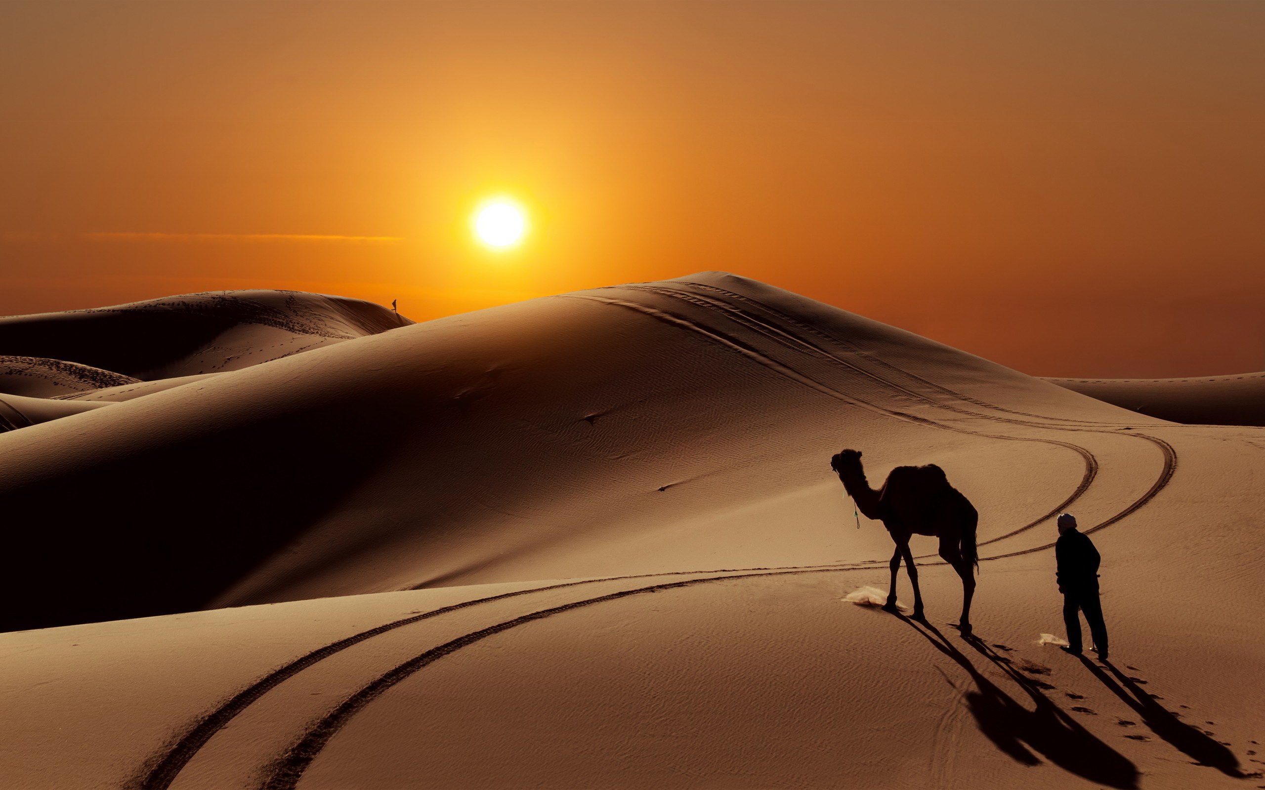 Camel and person in desert at sunset HD Wallpaper