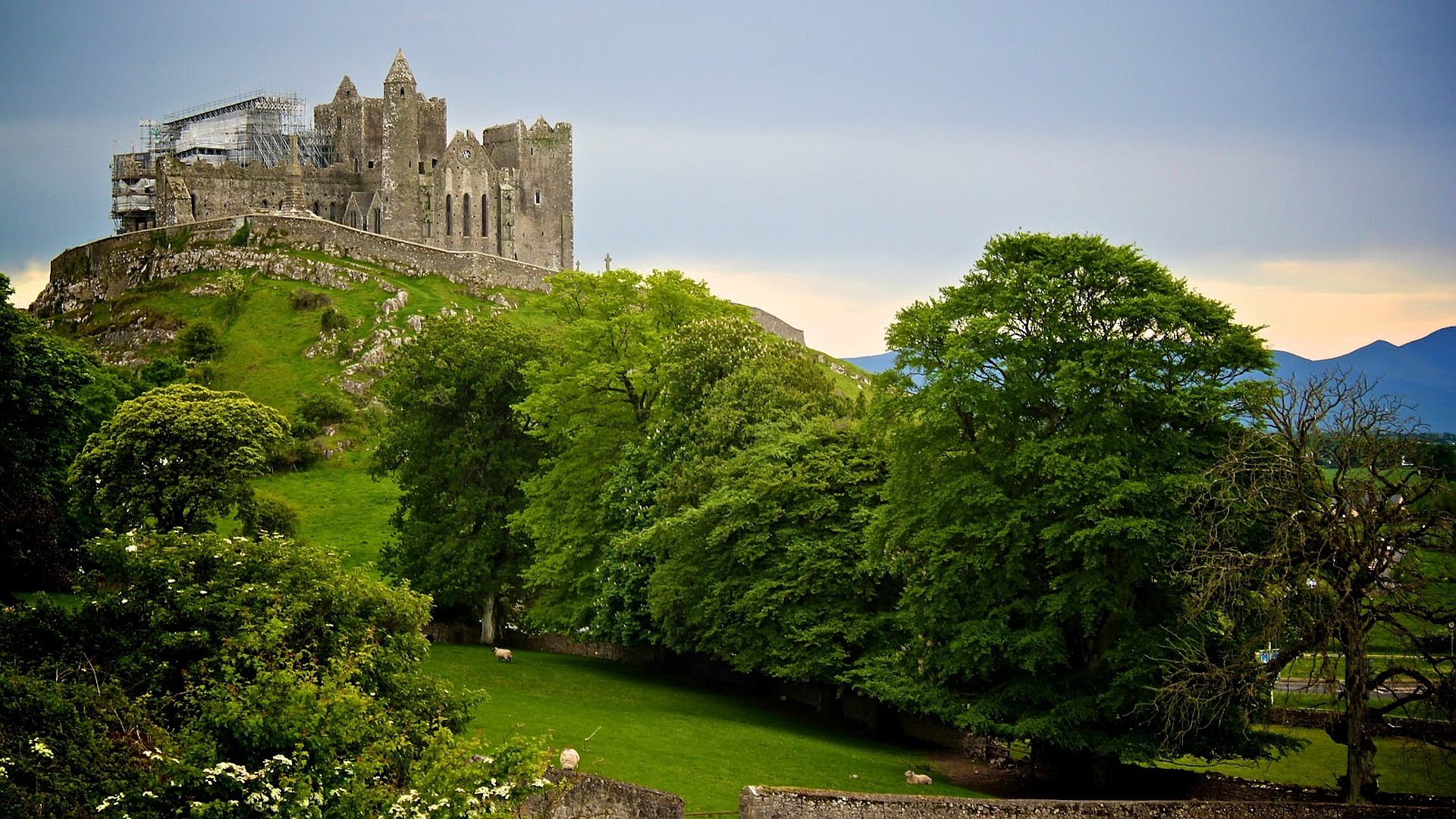 Rock of Cashel castle on a hill with trees HD Wallpaper