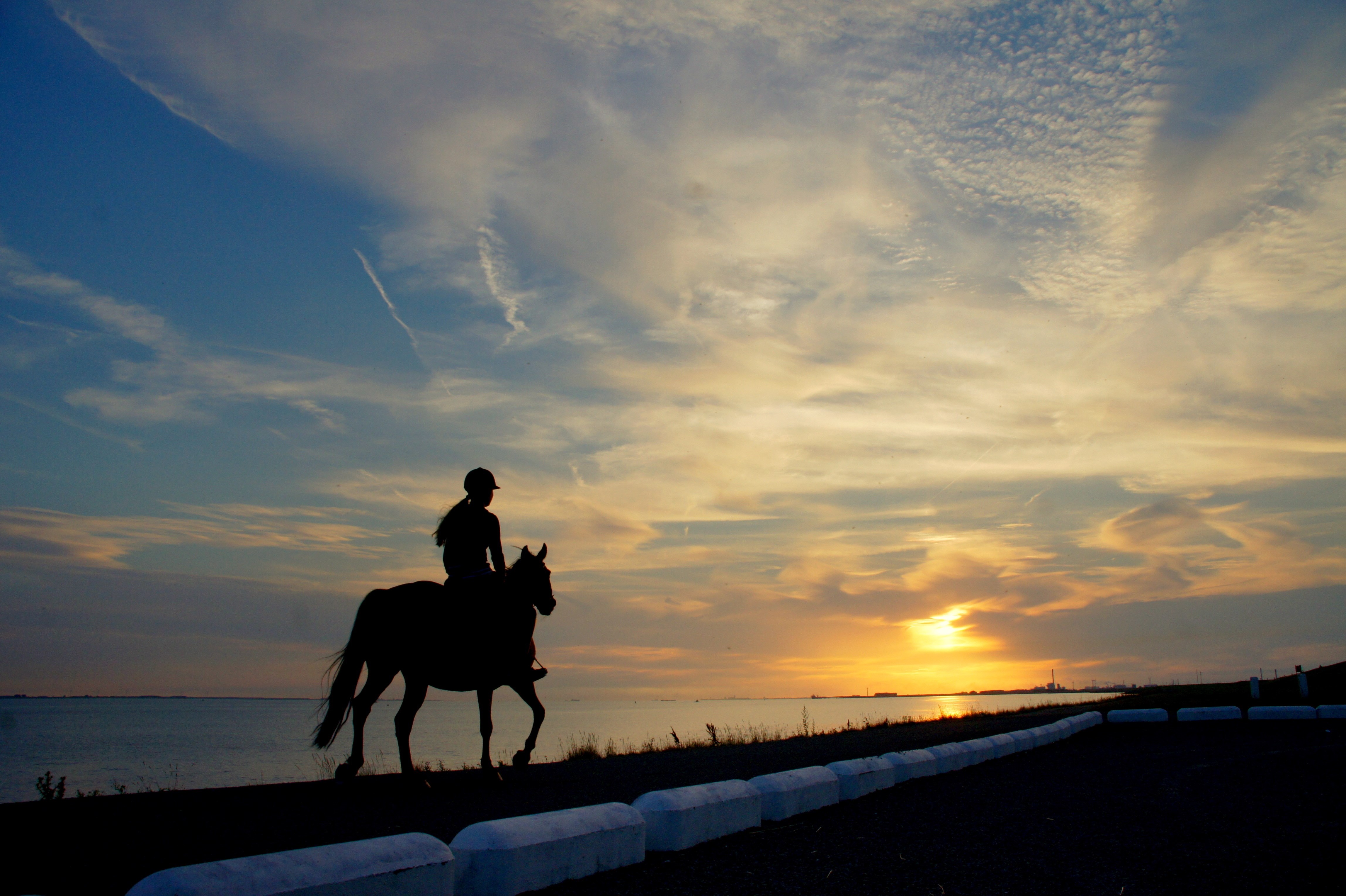 Silhouette of a person riding a horse at sunset HD Wallpaper