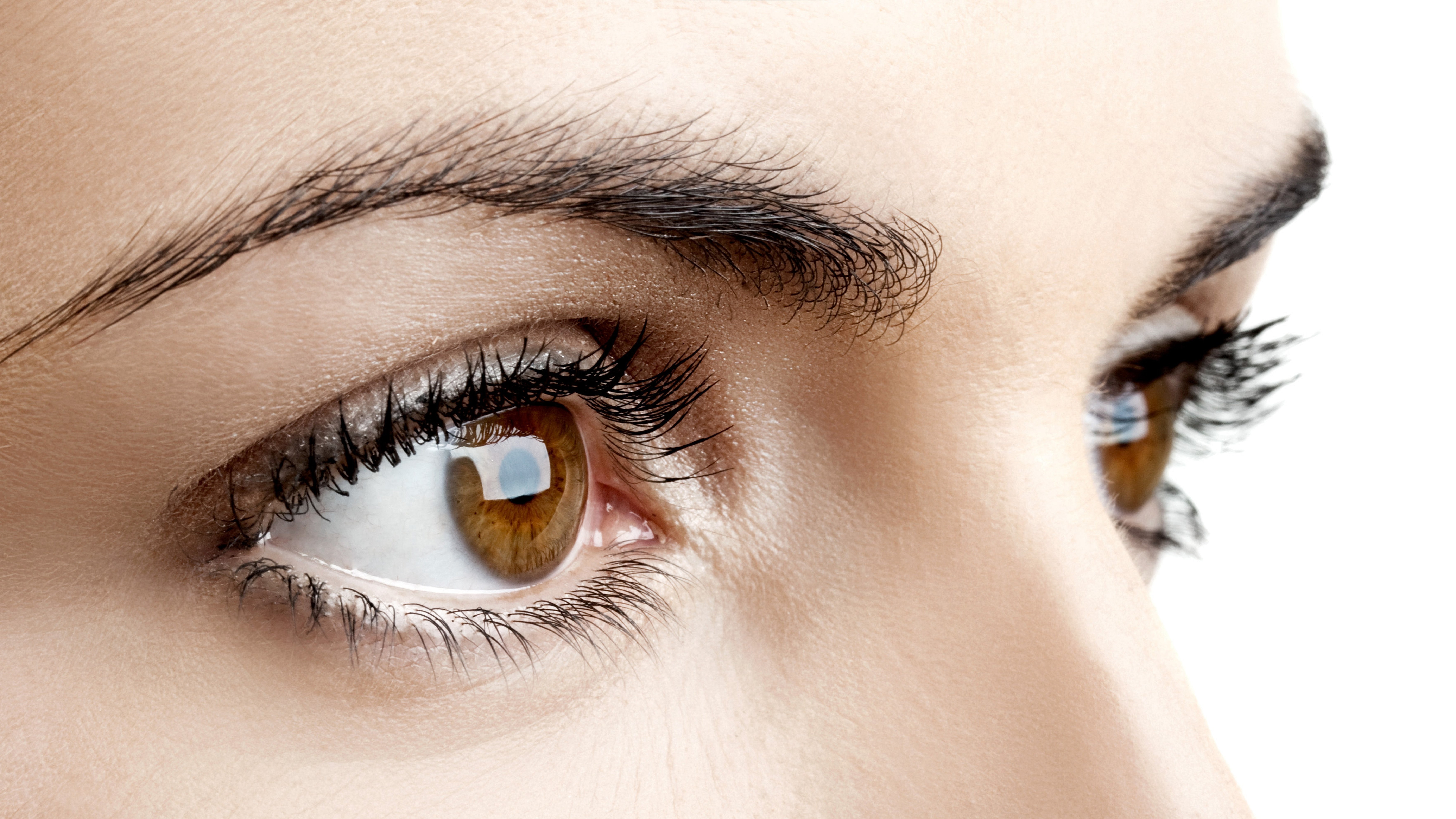 Close-up of a woman's brown eyes HD Wallpaper