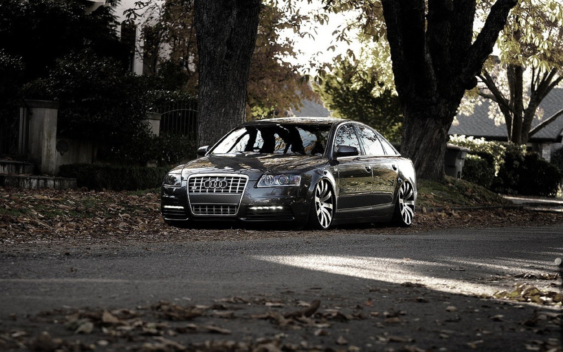 Dark Audi S6 Sedan on a Leaf-Covered Road HD Wallpaper