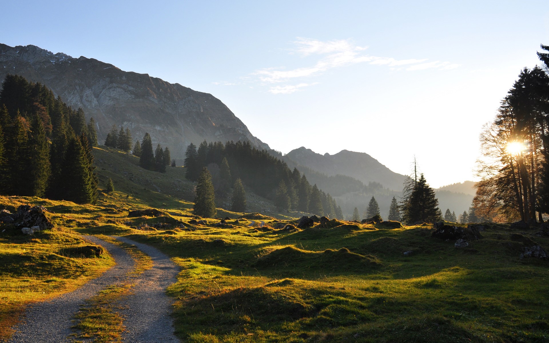 Mountain landscape with trees and a path HD Wallpaper