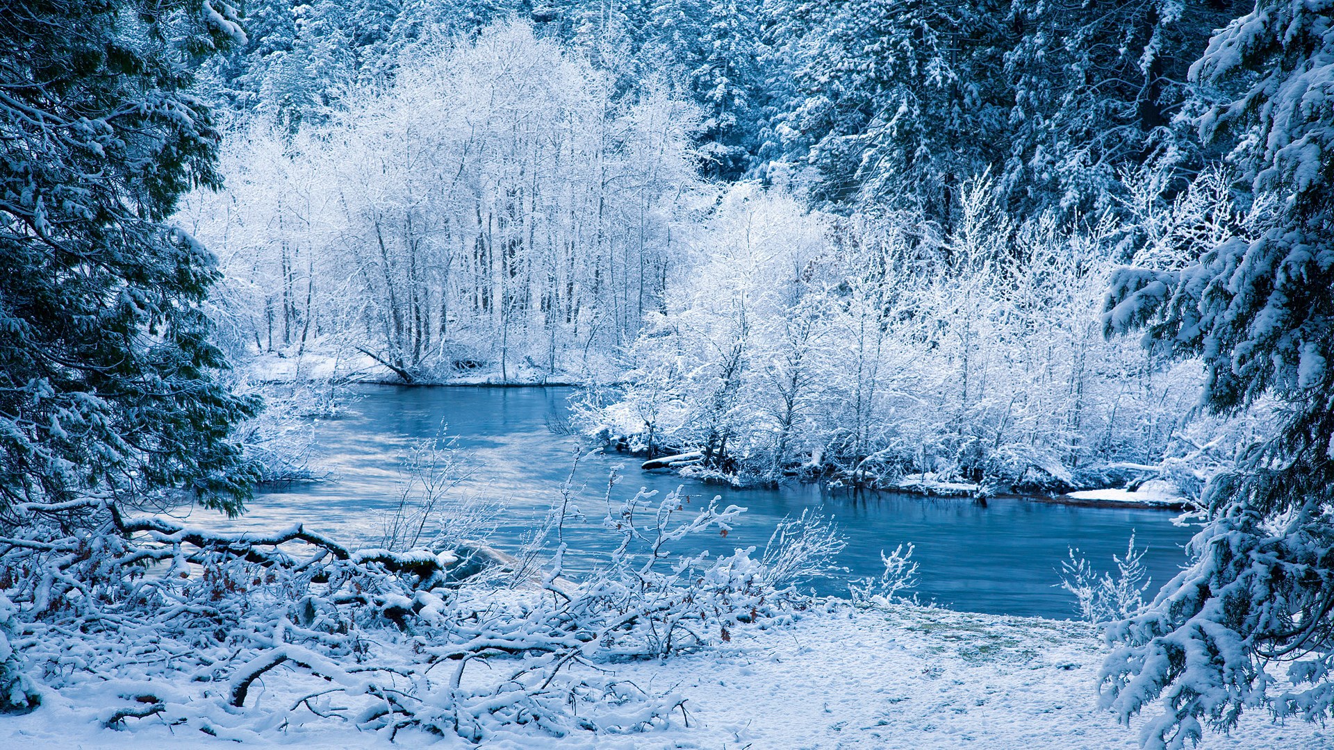 Winter river surrounded by snow-covered trees HD Wallpaper